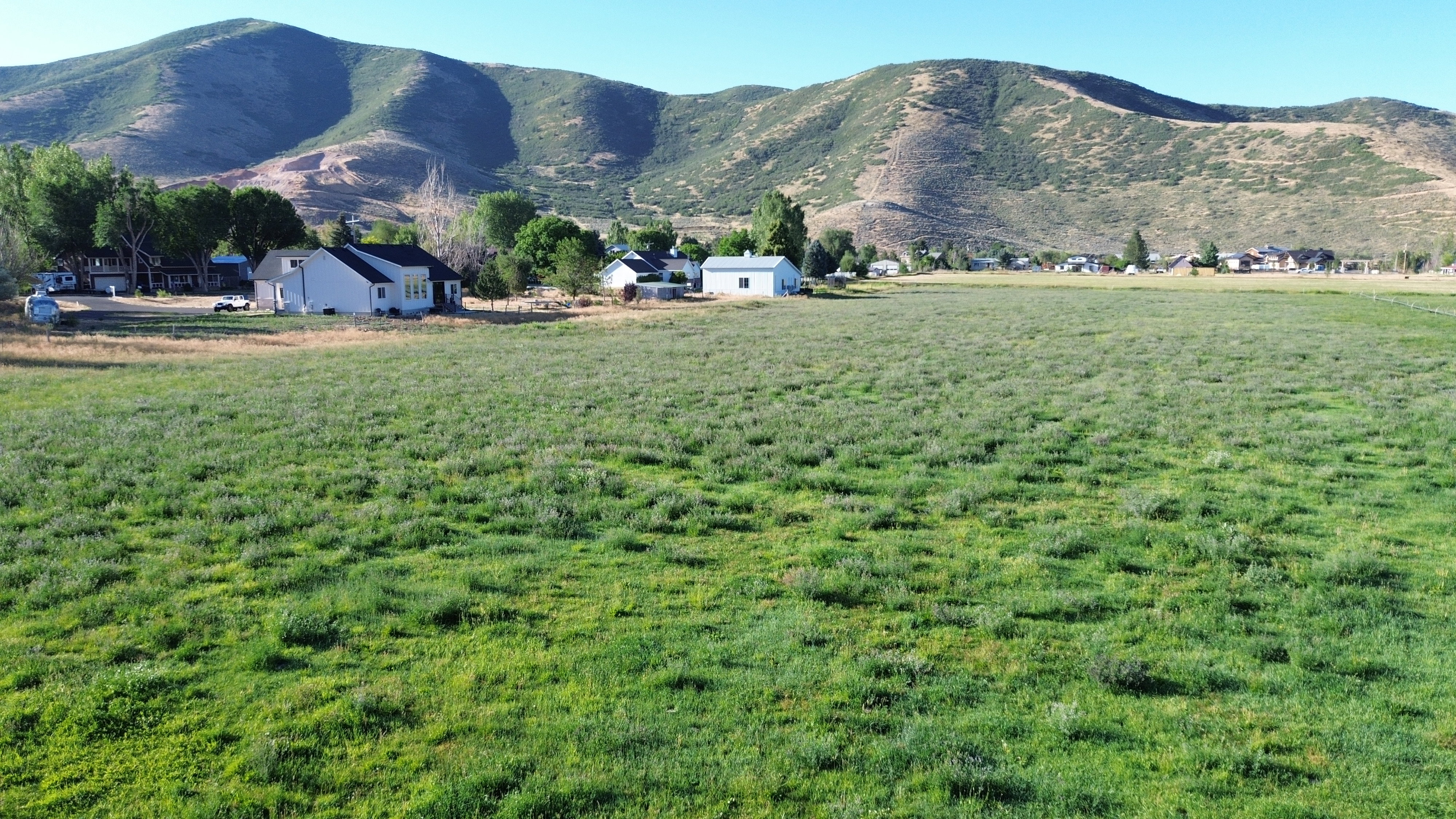 Expansive green field with distant mountain range backdrop