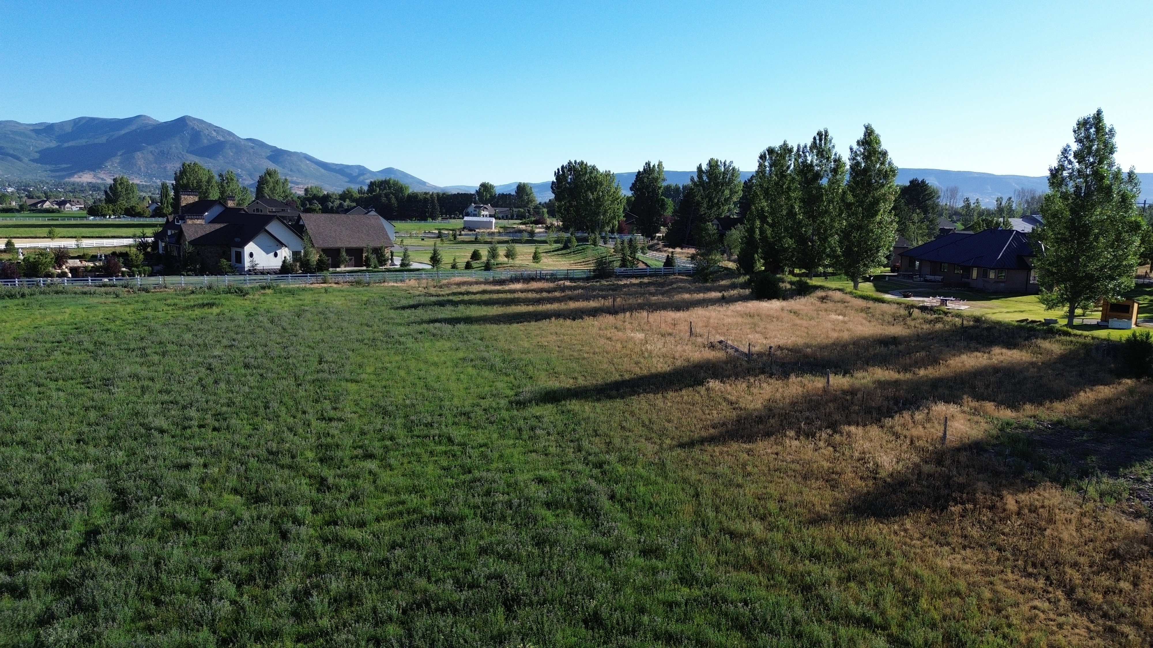 Expansive open field with scattered fencing, bordered by mature trees and residential properties
