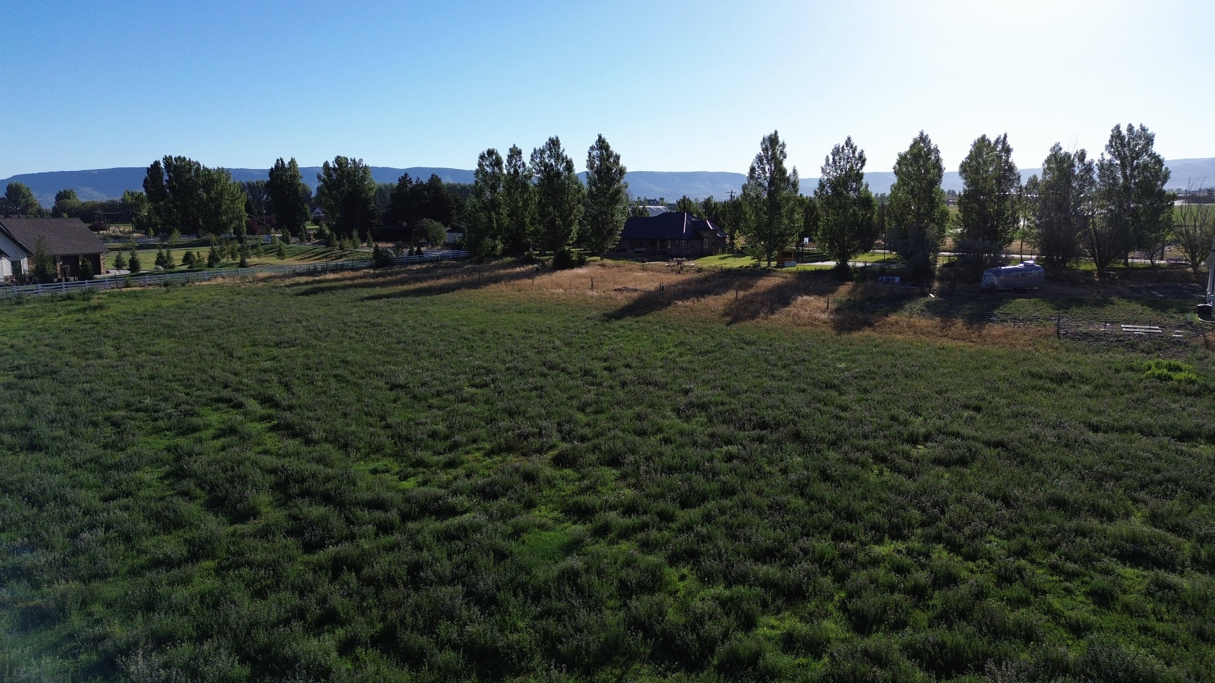 Expansive open field with natural ground cover