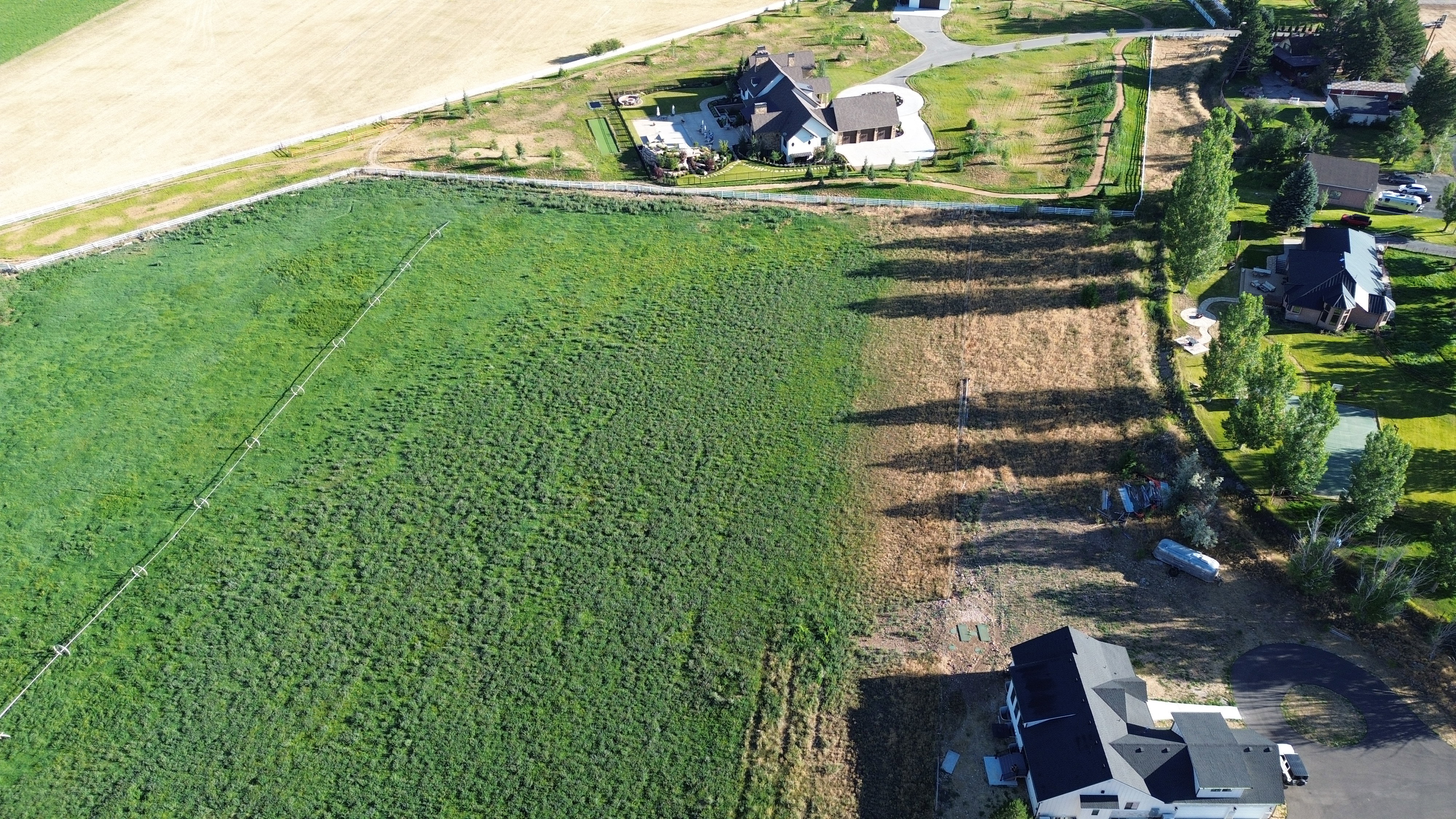 Expansive parcel featuring a large green field, adjacent brown land, and mature trees lining a boundary