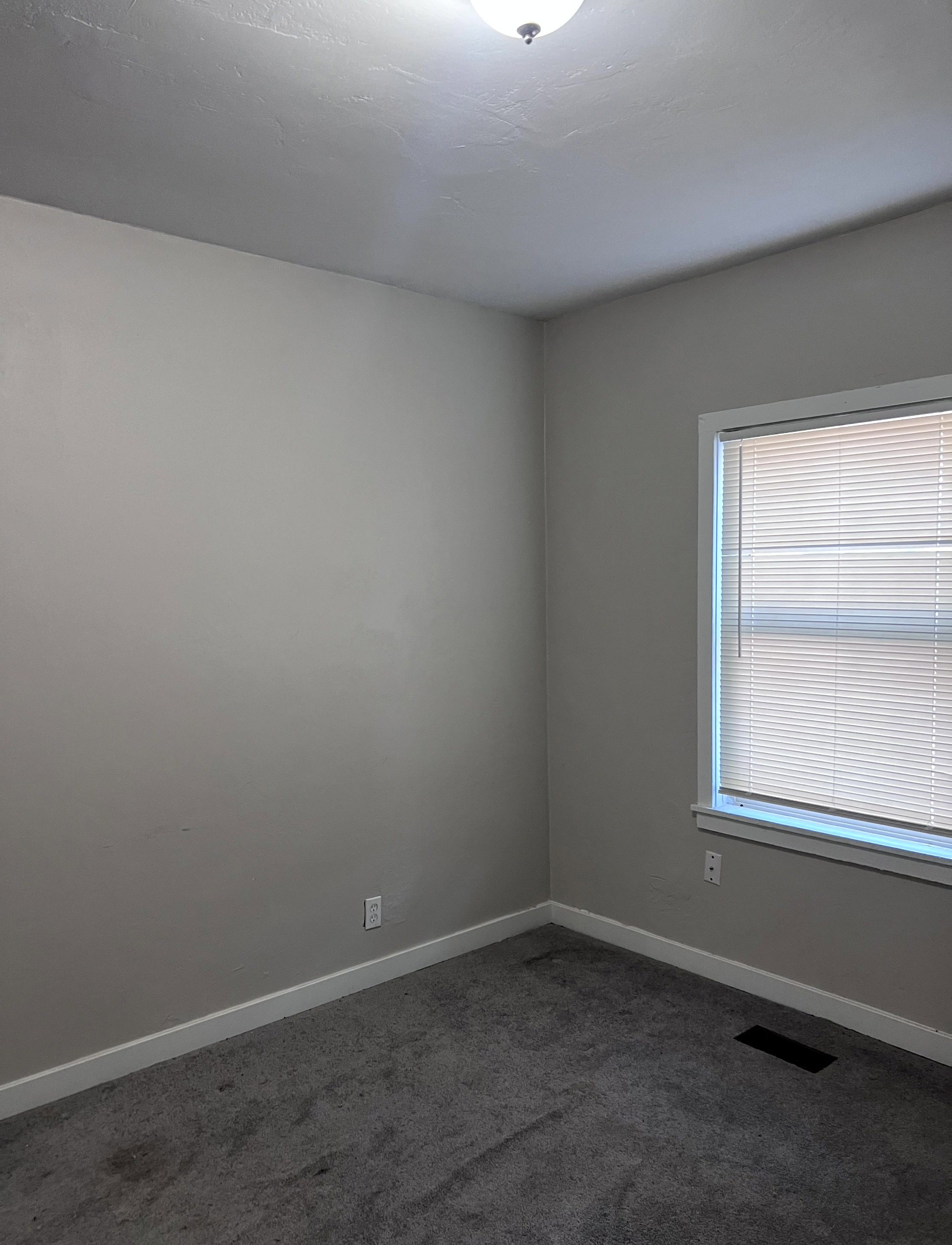 Neutral-toned room featuring a single window with blinds, ceiling-mounted light fixture, and gray carpeting