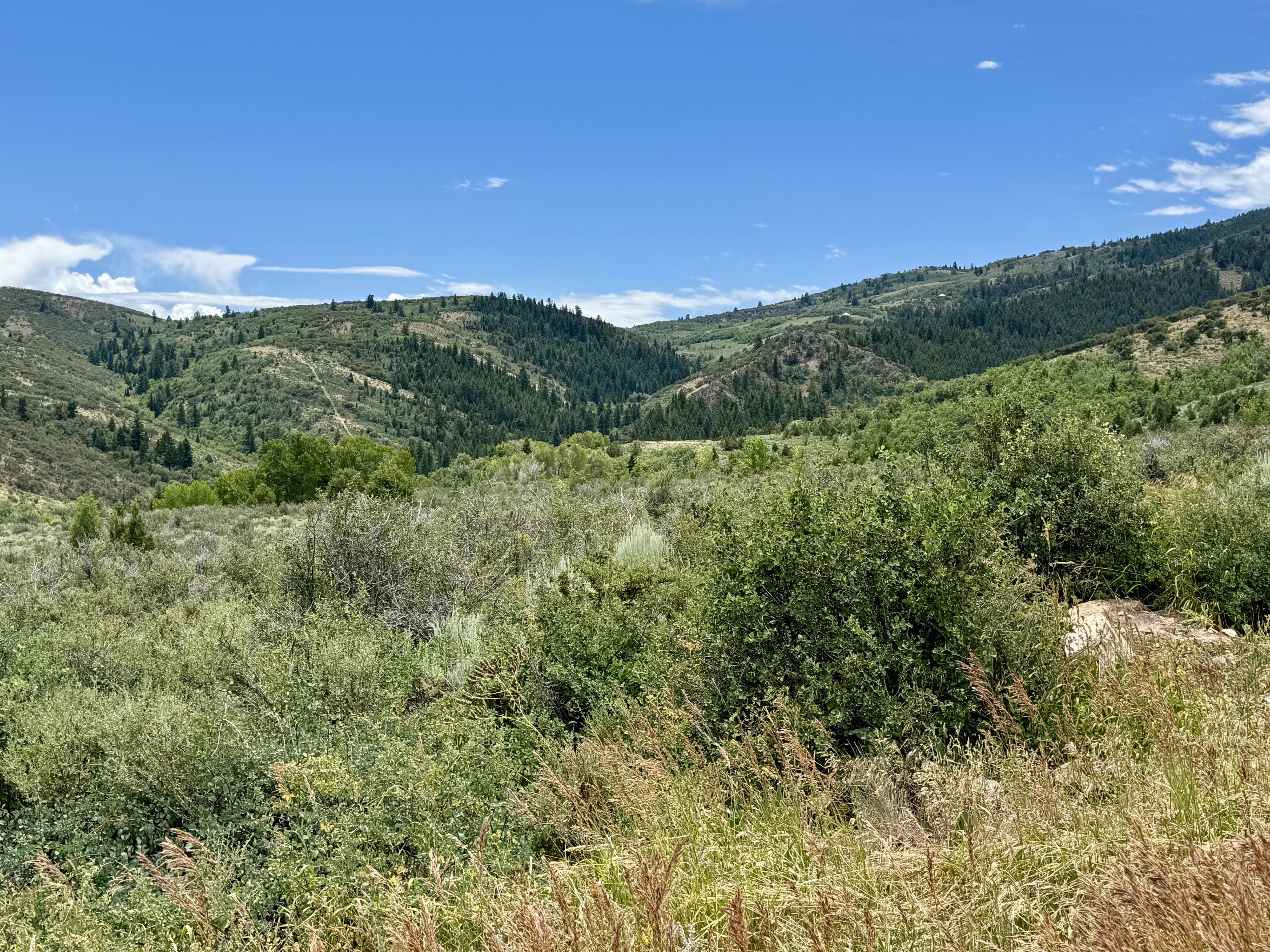 Expansive natural landscape featuring rolling hills, abundant green foliage, and a clear blue sky