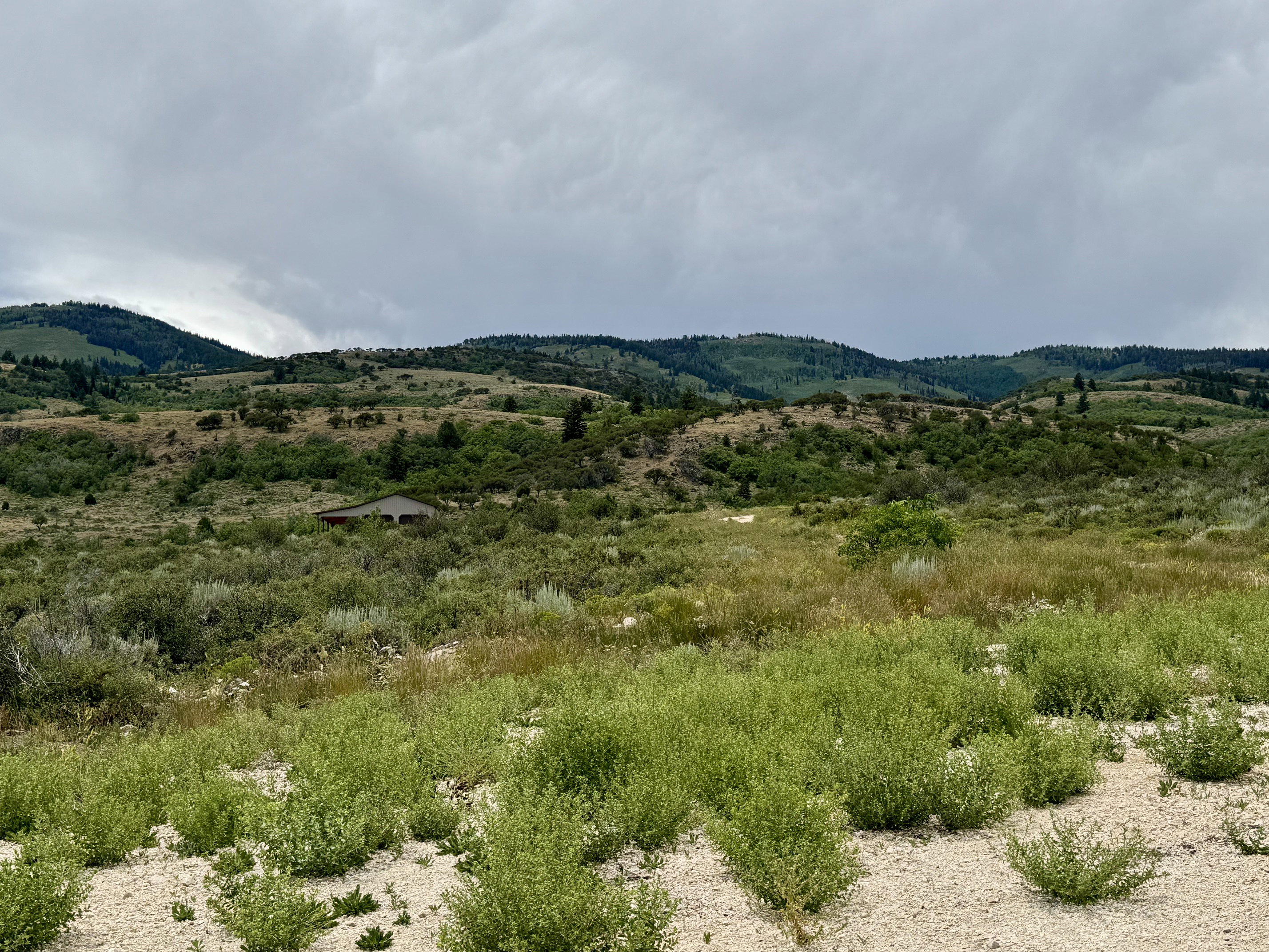 Expansive undeveloped land featuring varied terrain and distant rolling hills