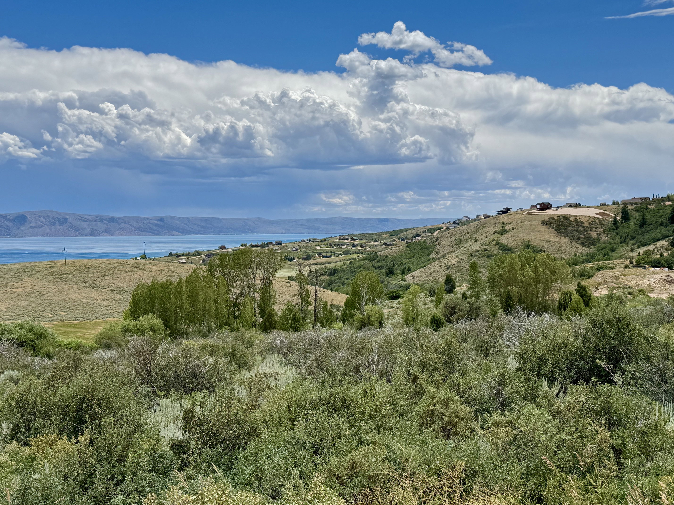 Expansive property offering a substantial land area with established vegetation