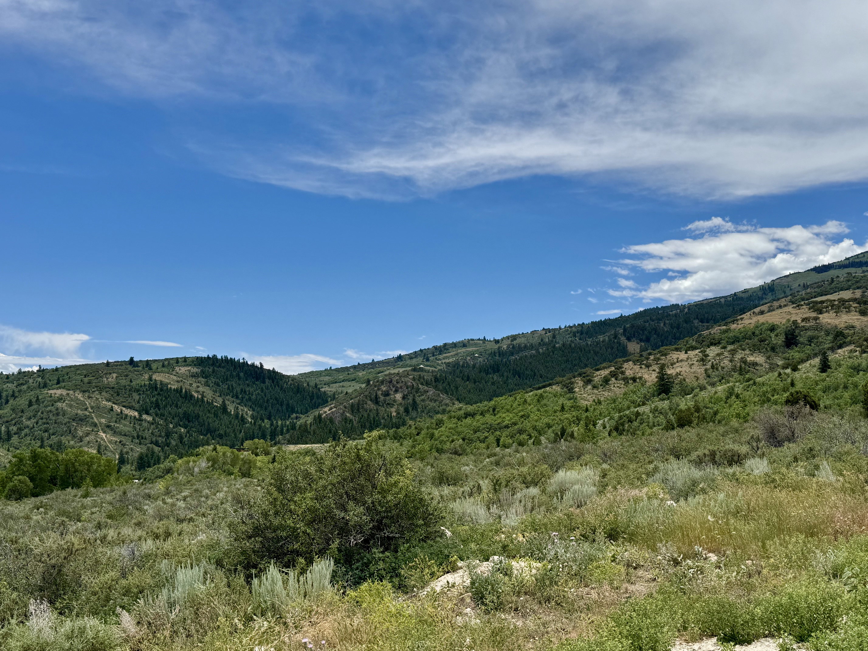 Mountainous terrain featuring diverse vegetation under a clear blue sky