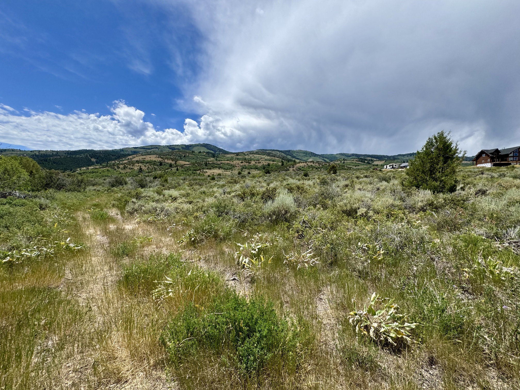 Expansive undeveloped land featuring natural vegetation and rolling hills