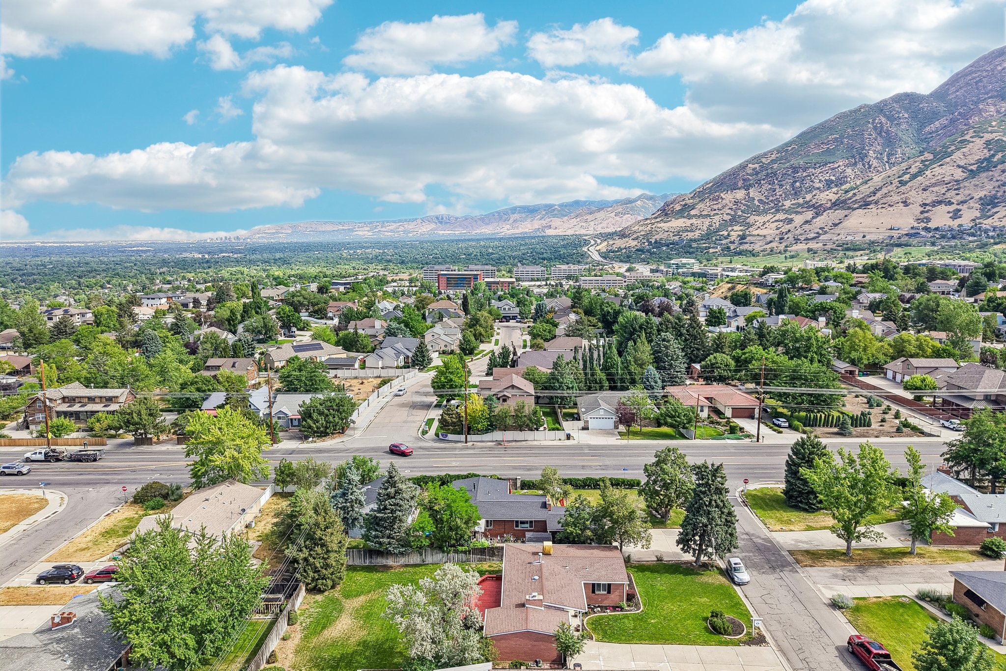 Expansive residential neighborhood with mature trees and a distant mountain backdrop