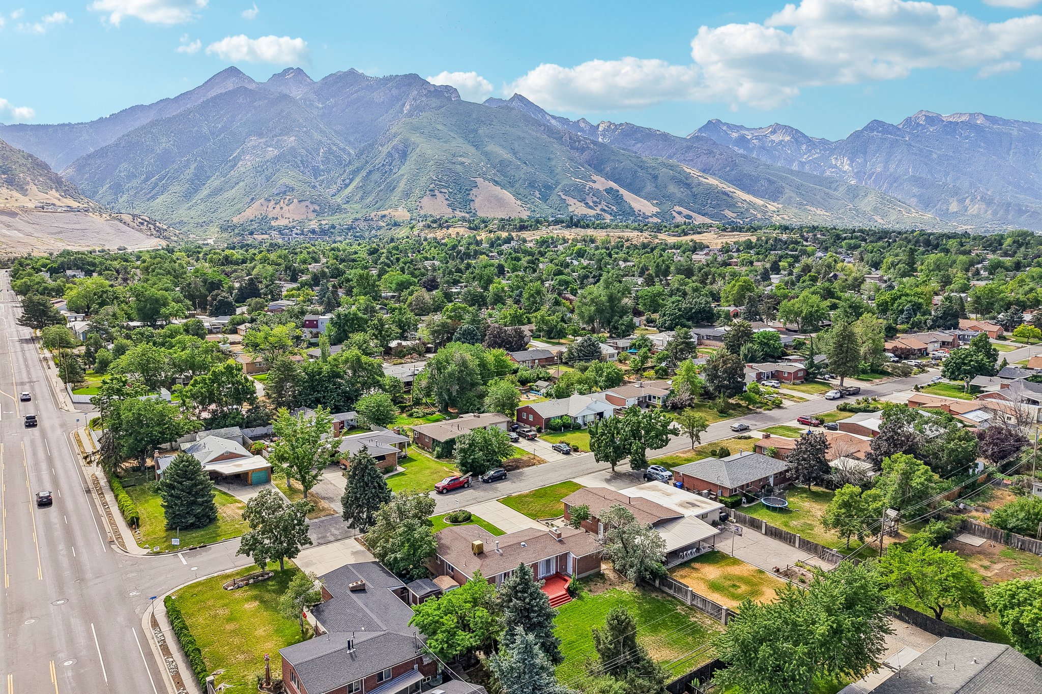 Neighborhood setting featuring mature trees and a paved road