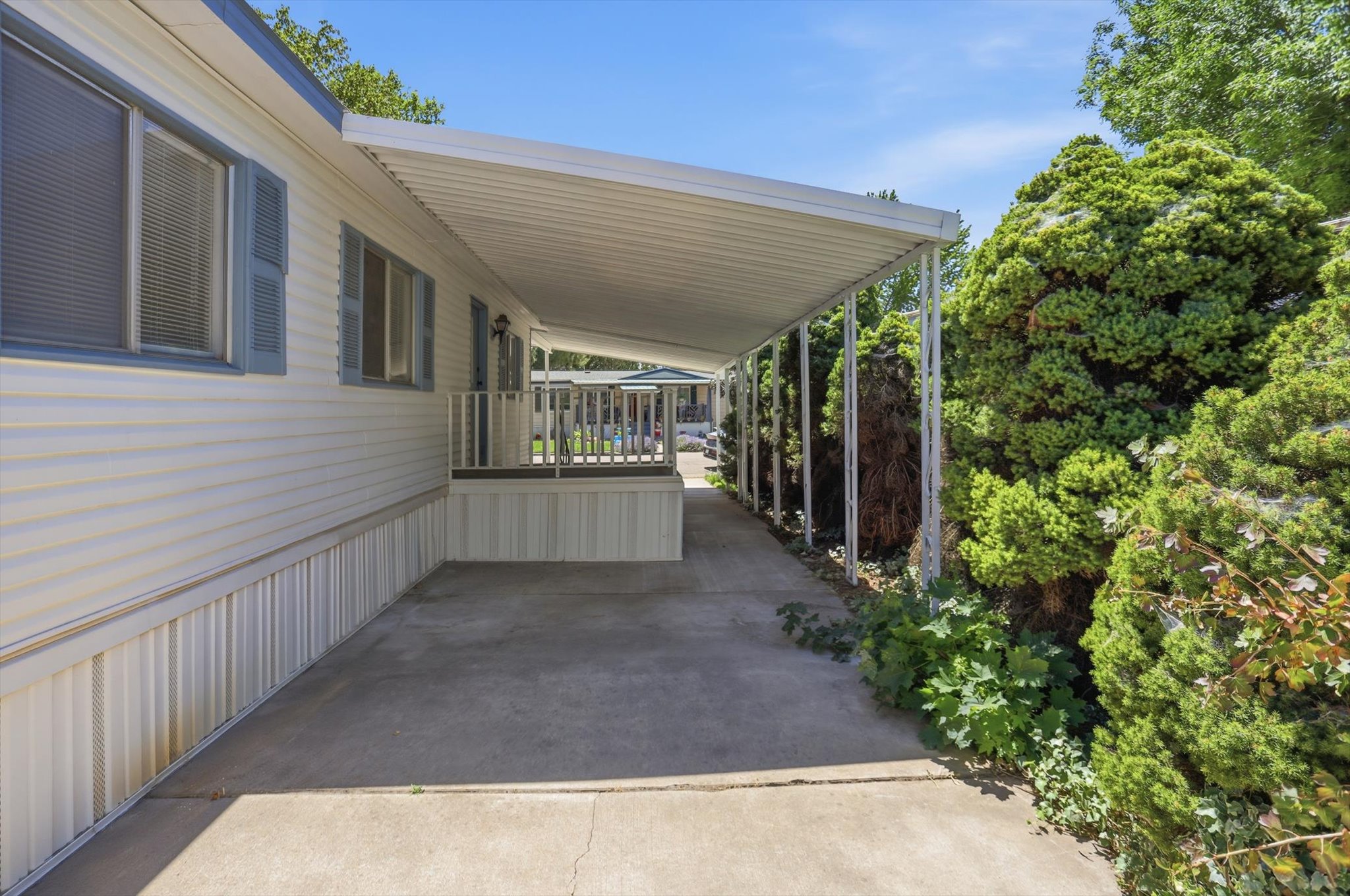 Covered walkway with a concrete surface, white siding, blue window shutters, and established green shrubbery