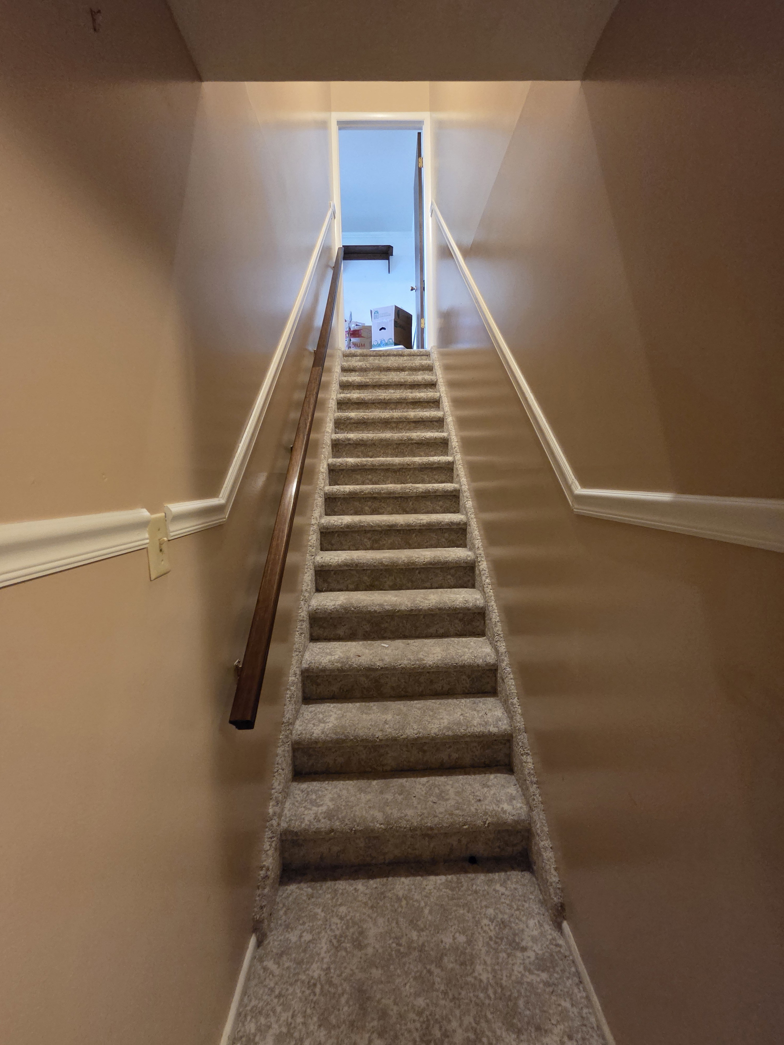 Carpeted staircase featuring a wood handrail and light-colored baseboard trim