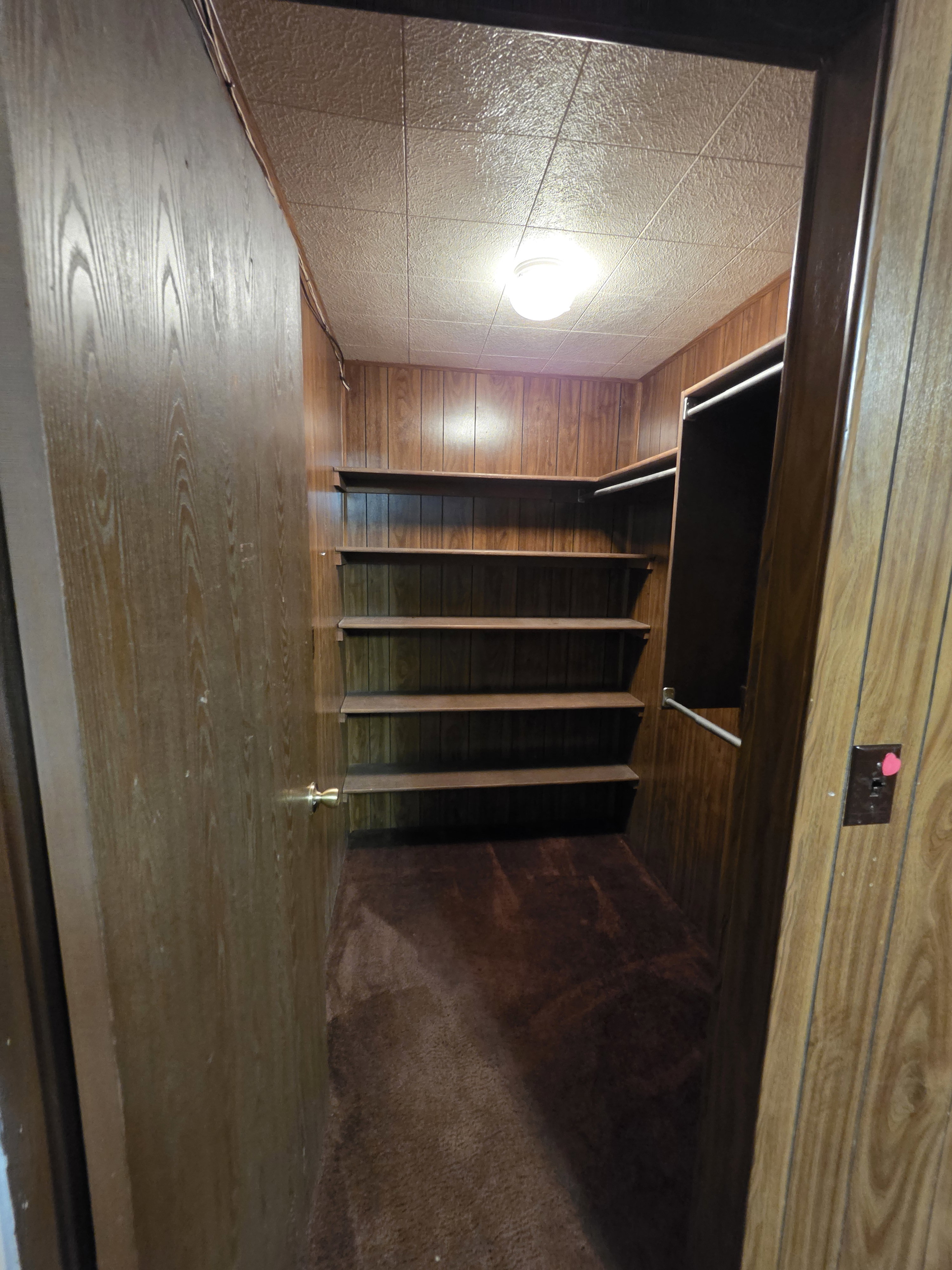 Walk-in closet featuring wood-finish wall paneling, built-in shelving, a garment rod, recessed lighting, and brown carpeting