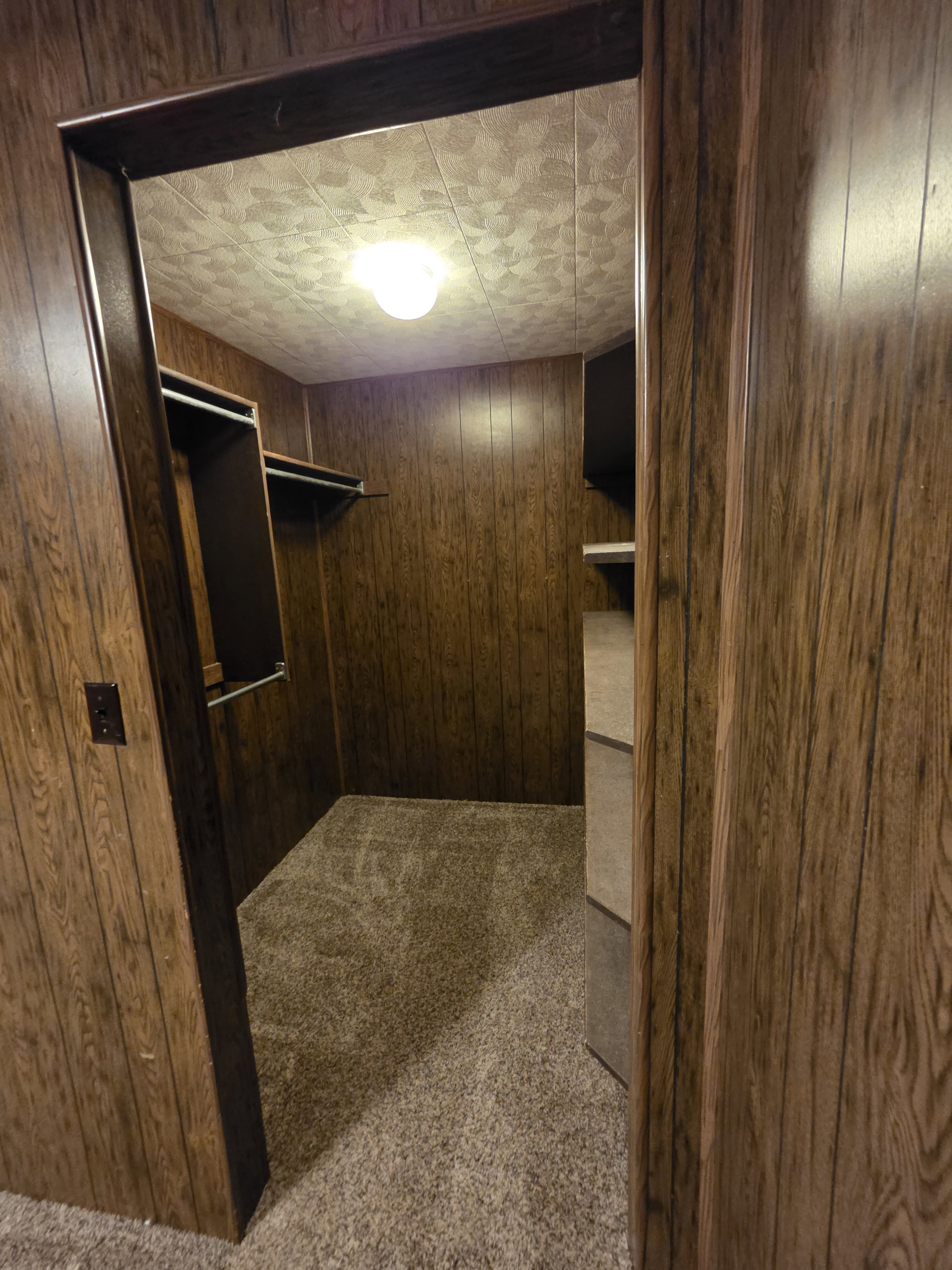 Walk-in closet with wood-finish paneling, soft carpeting, and track lighting