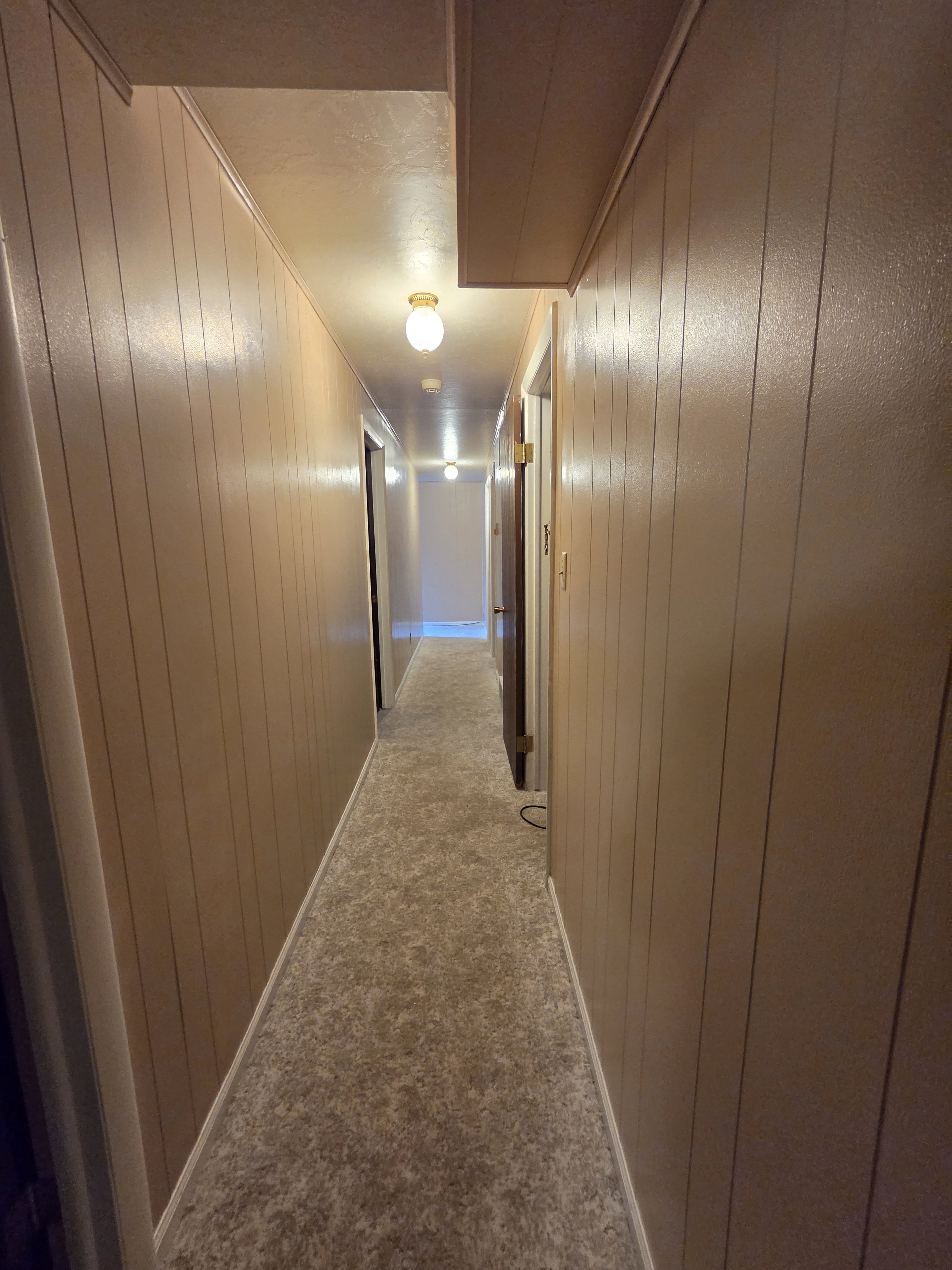 Carpeted hallway with wood paneling and flush-mount lighting fixtures