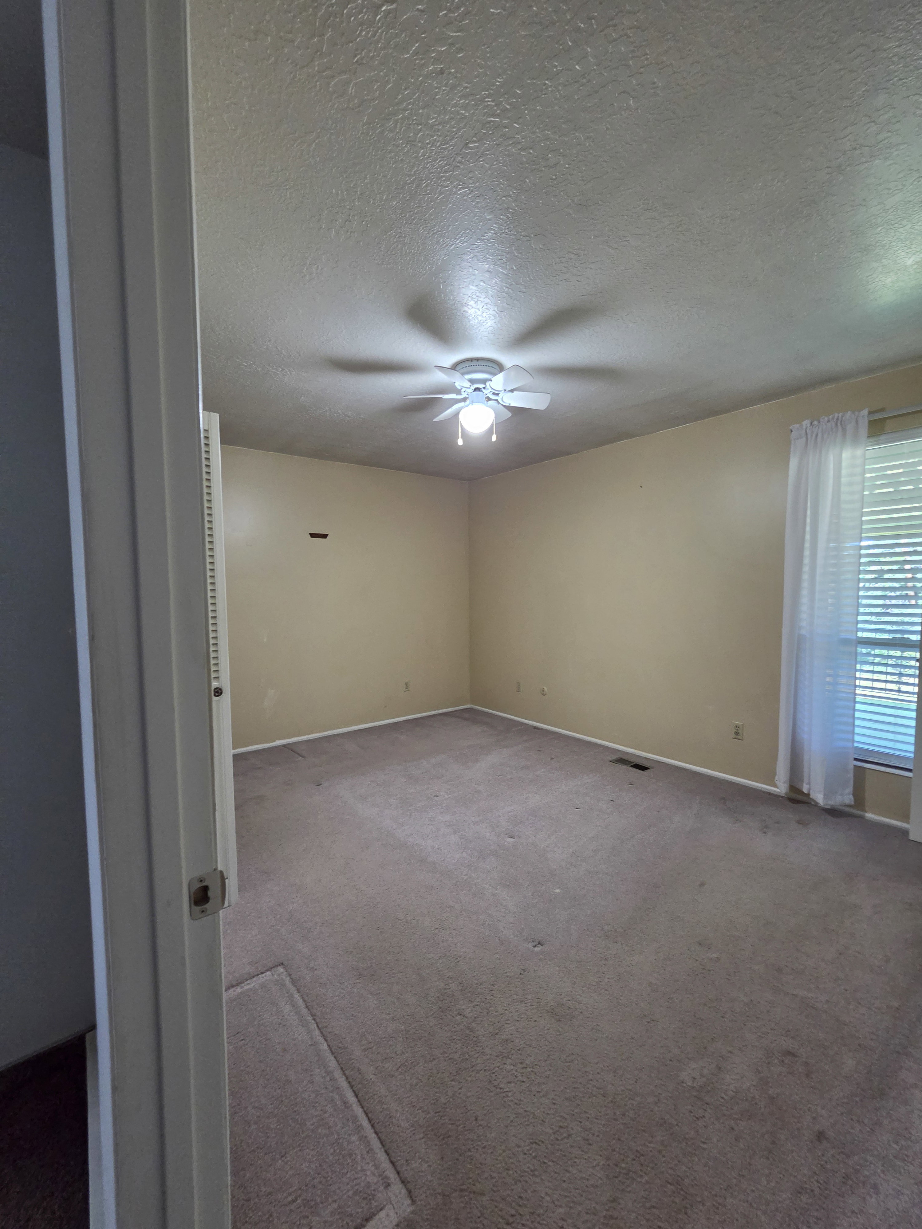 Carpeted room with a ceiling fan light fixture and a window with blinds and white curtains