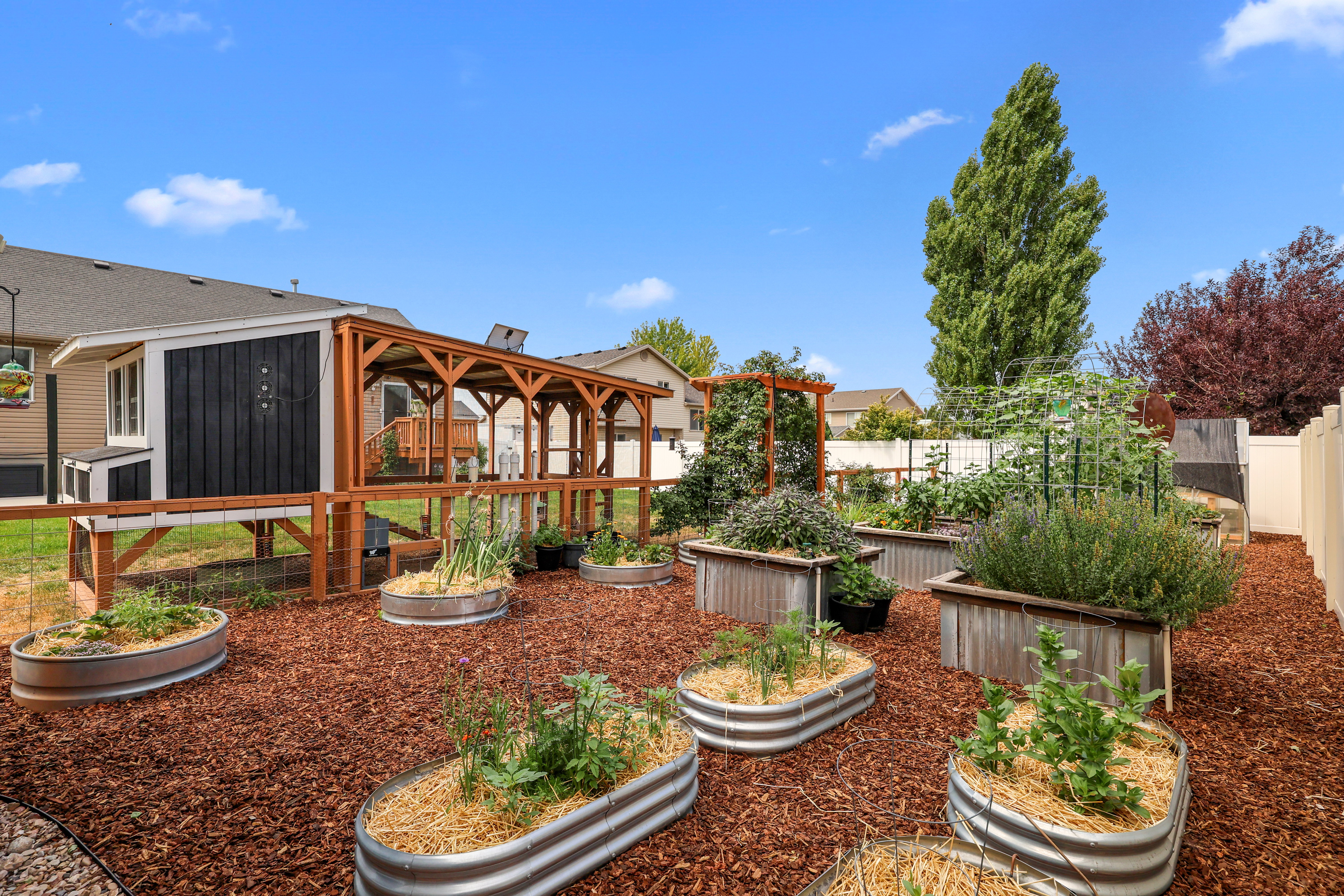 Expansive backyard featuring multiple raised garden beds, a dedicated chicken coop with a covered run, and wood chip ground covering