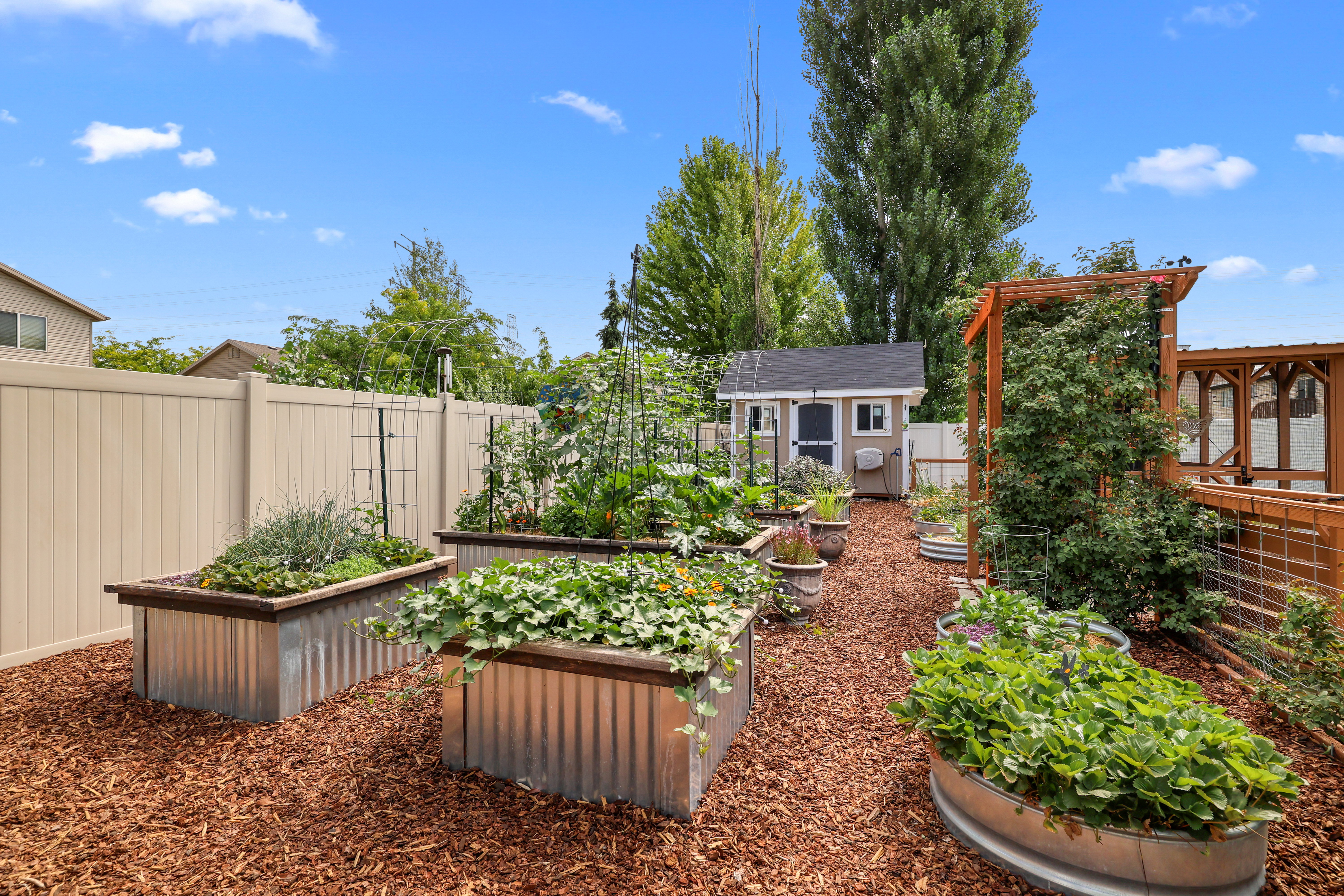 Dedicated garden space featuring multiple raised beds with corrugated metal and wood-finish construction