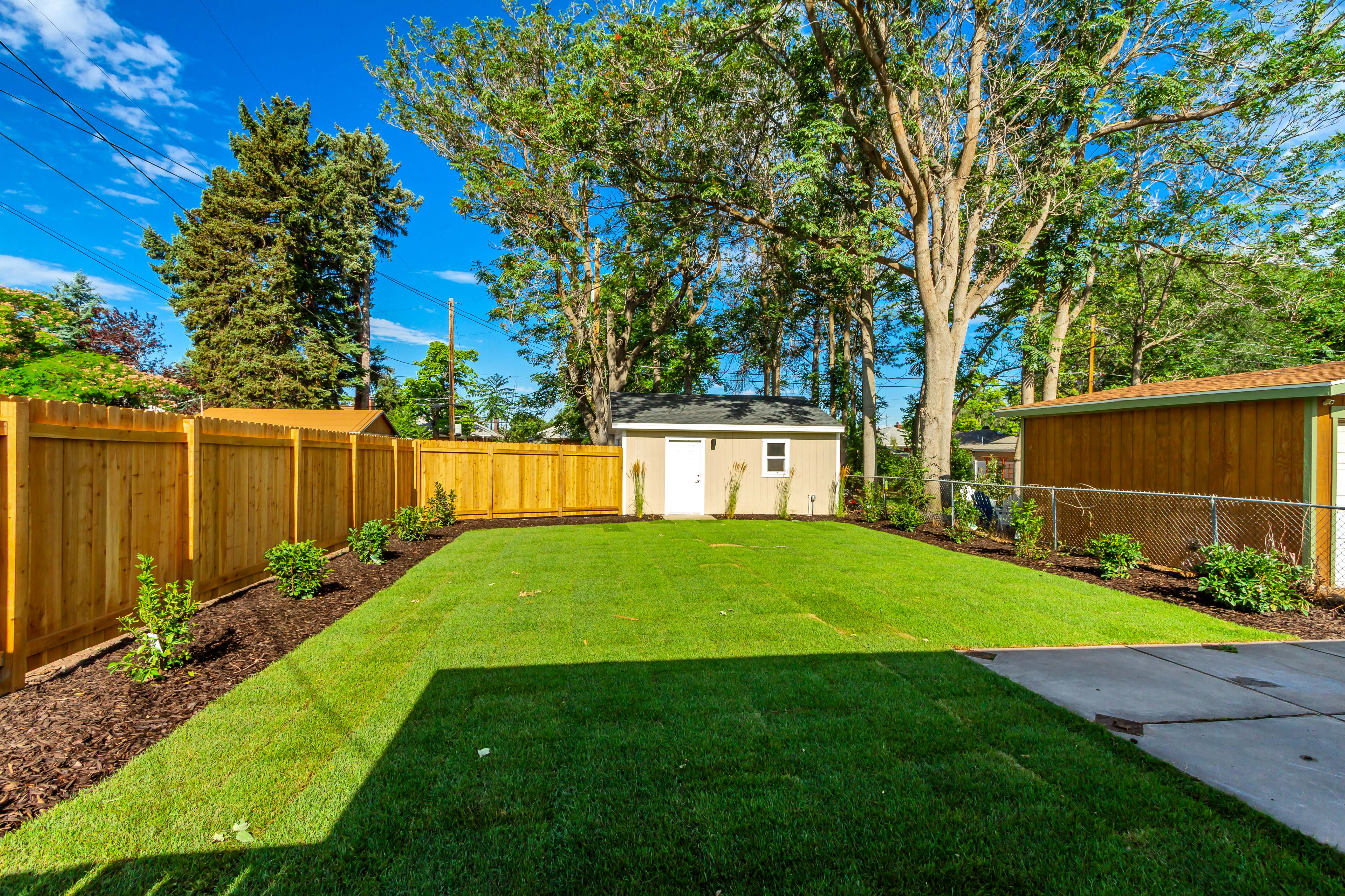 Expansive grassy yard featuring a detached storage shed with a white access door, mature perimeter trees, and a wooden privacy fence