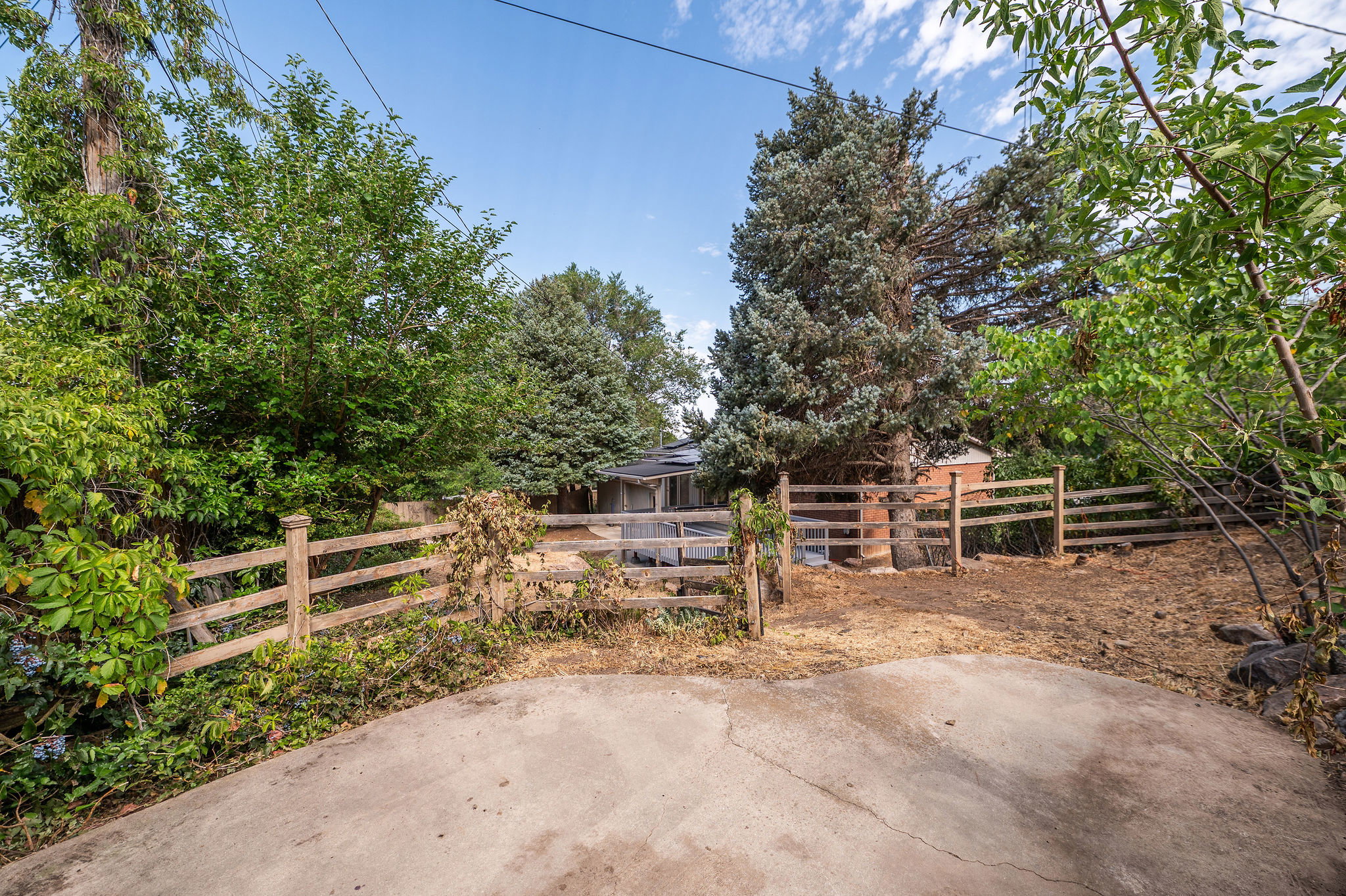 Expansive outdoor area featuring a concrete pad, split-rail fencing, and mature trees