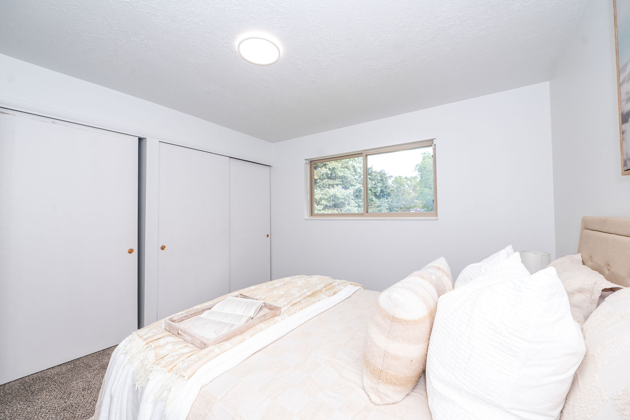 Room featuring white walls, carpet flooring, a flush-mount ceiling light, and a window with exterior tree scenery