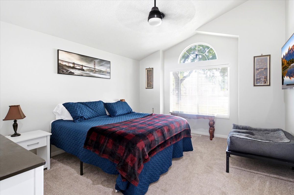 Primary bedroom with Vaulted ceiling, ceiling fan, arched window, and carpeted flooring