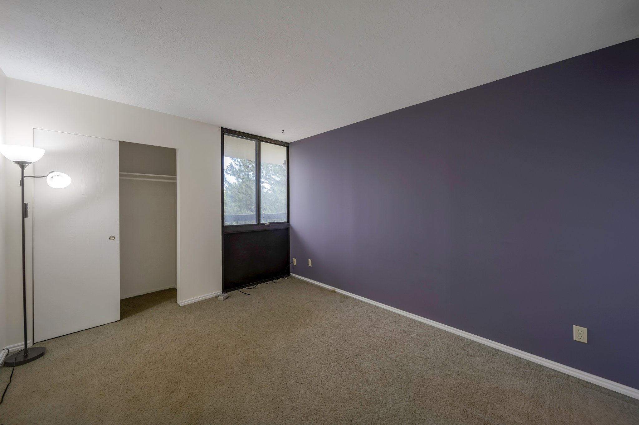 Carpeted interior room featuring a full-height window, a sliding closet door, and a accent wall
