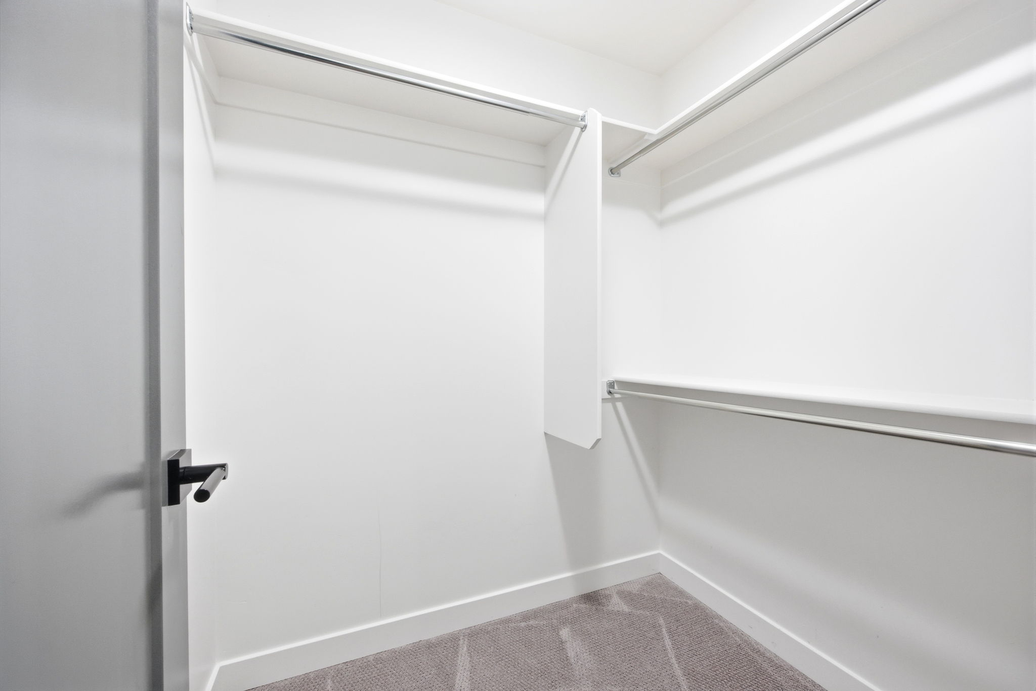 Walk-in closet featuring white walls, white trim, gray carpet flooring, and multiple chrome hanging rods