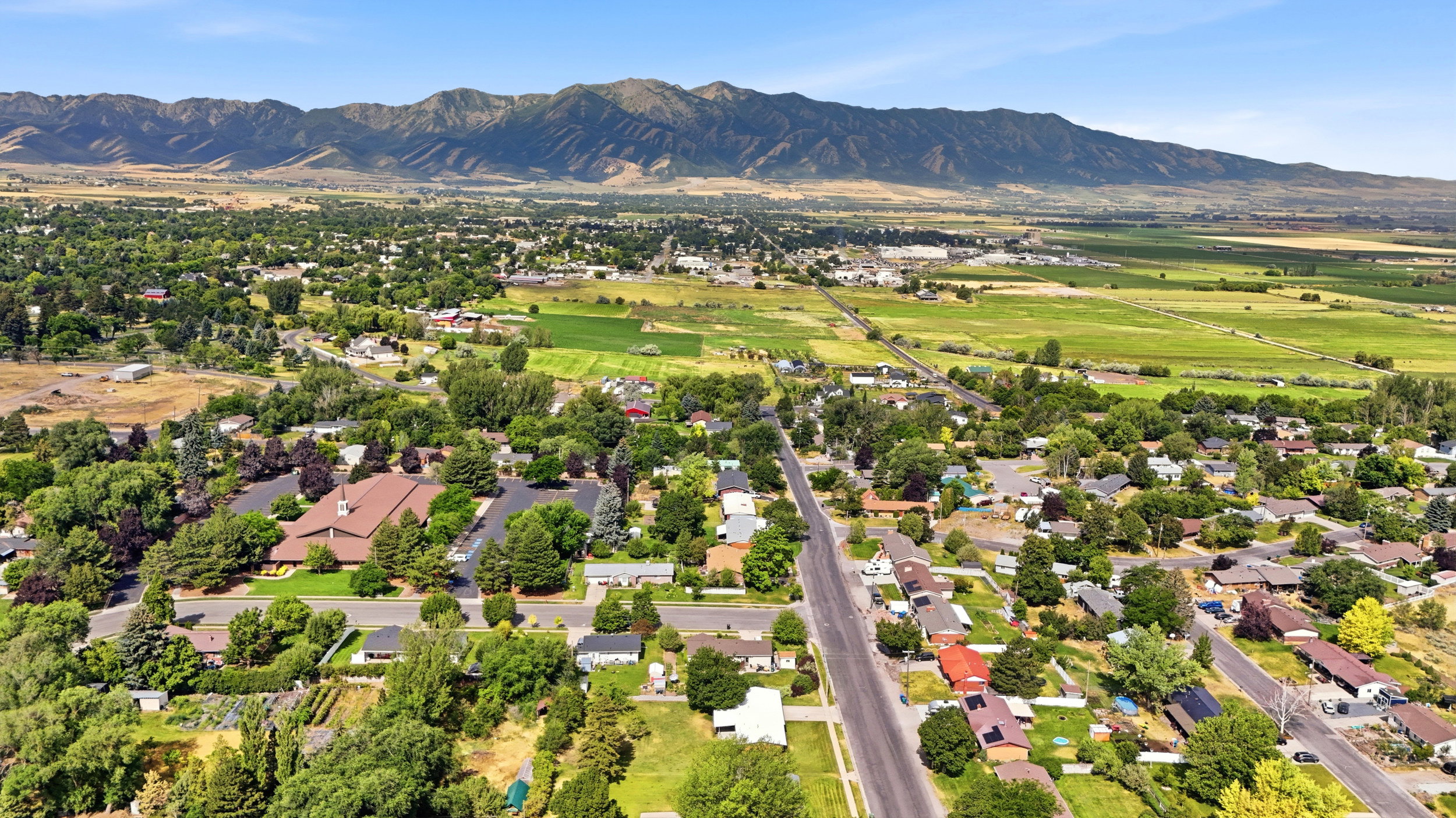 Expansive aerial perspective showcasing a residential neighborhood with verdant landscaping