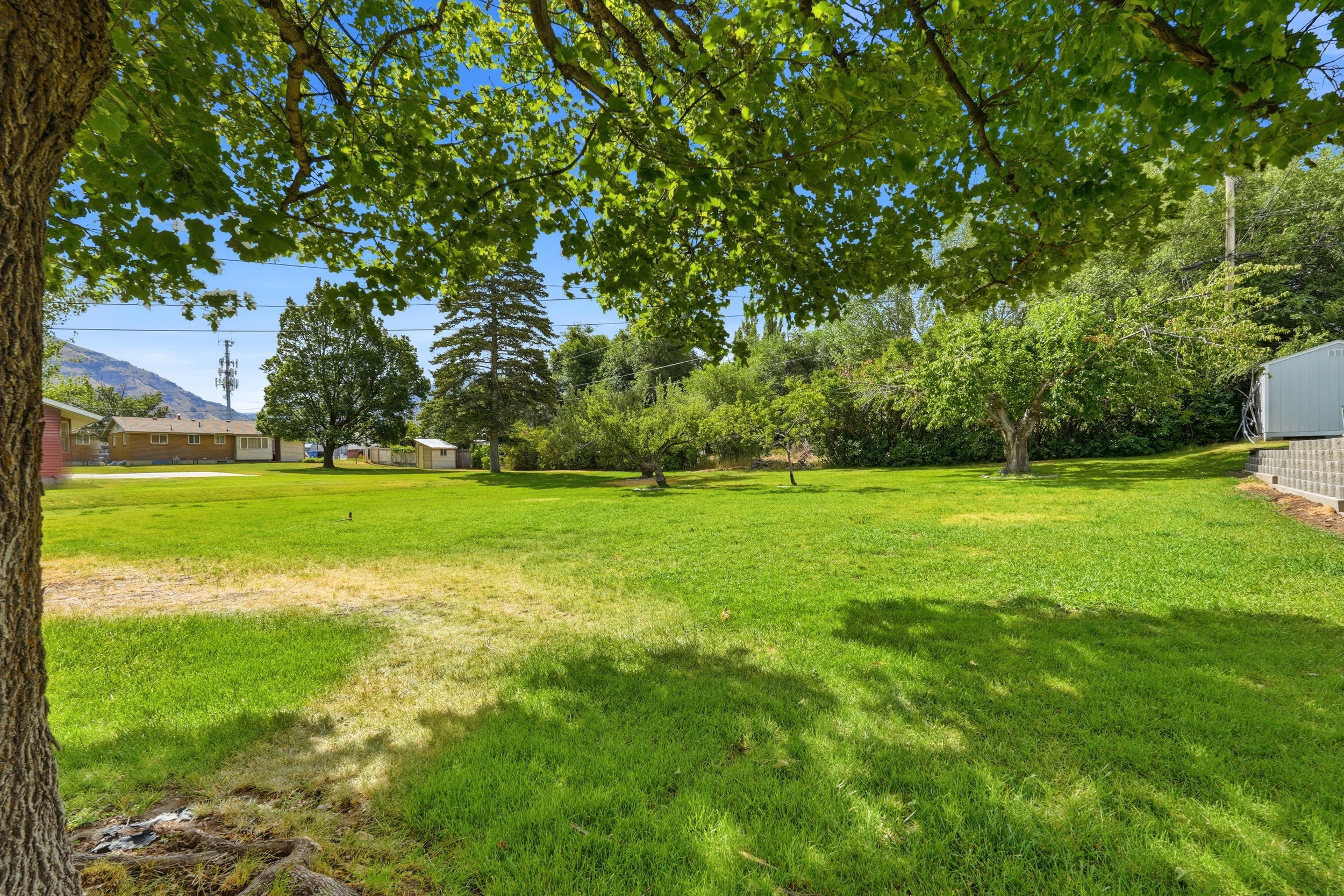 Expansive green lawn with mature trees and established landscaping