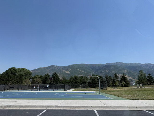 Outdoor recreational court with a blue and green surface, surrounded by black chain-link fencing