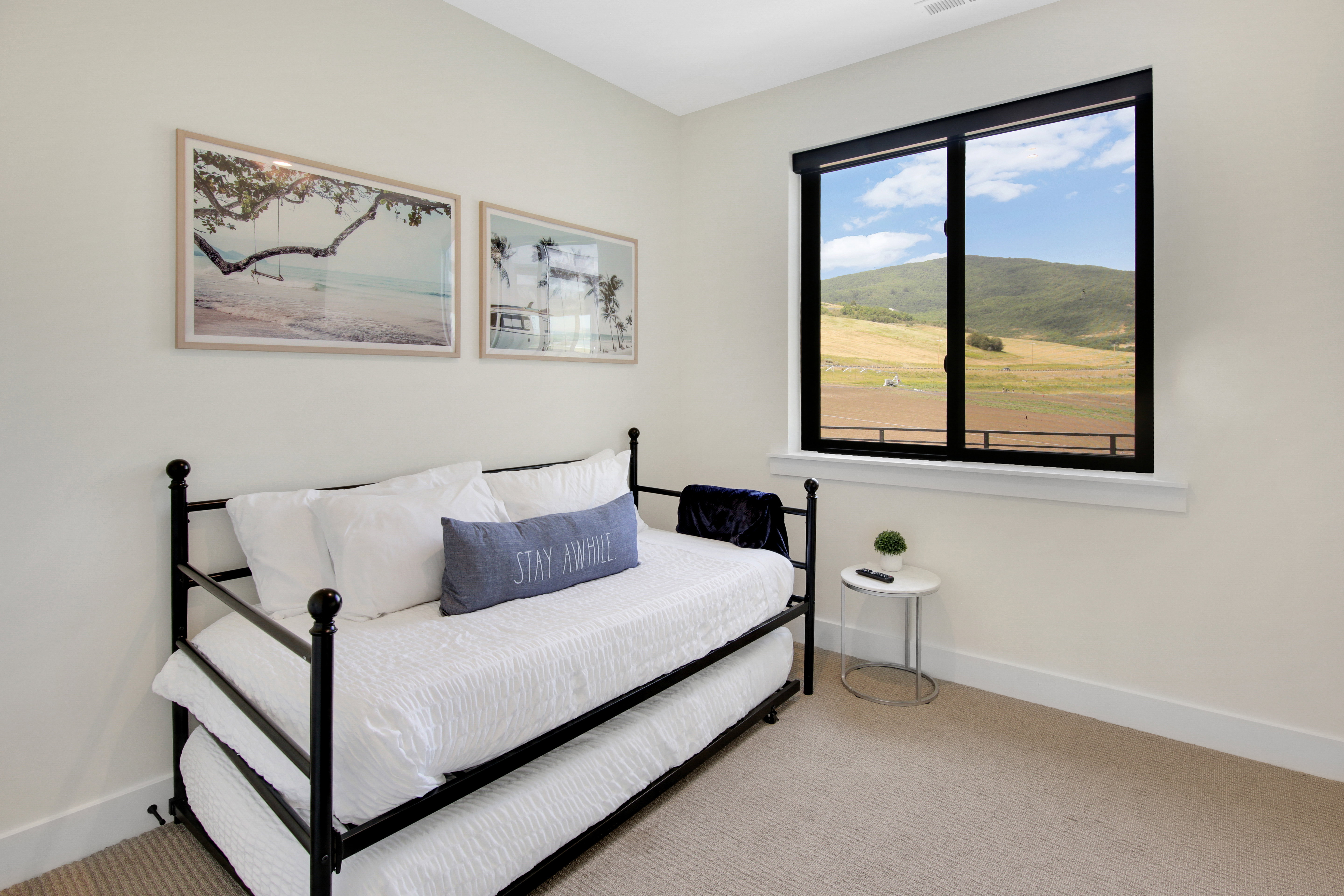 Carpeted room featuring a large window with a black frame and a mountain landscape