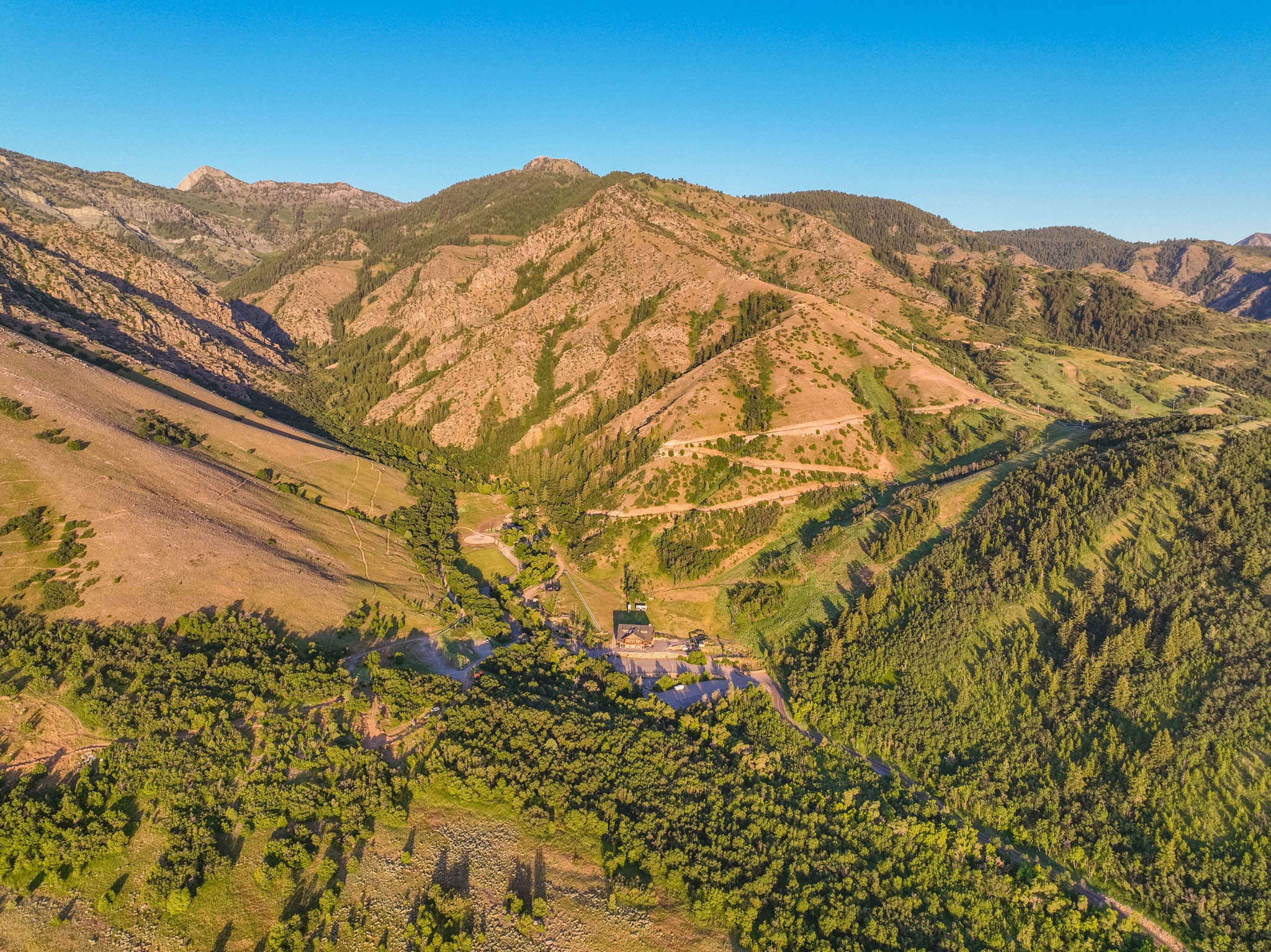 Expansive mountain landscape featuring rugged terrain and a dense tree line