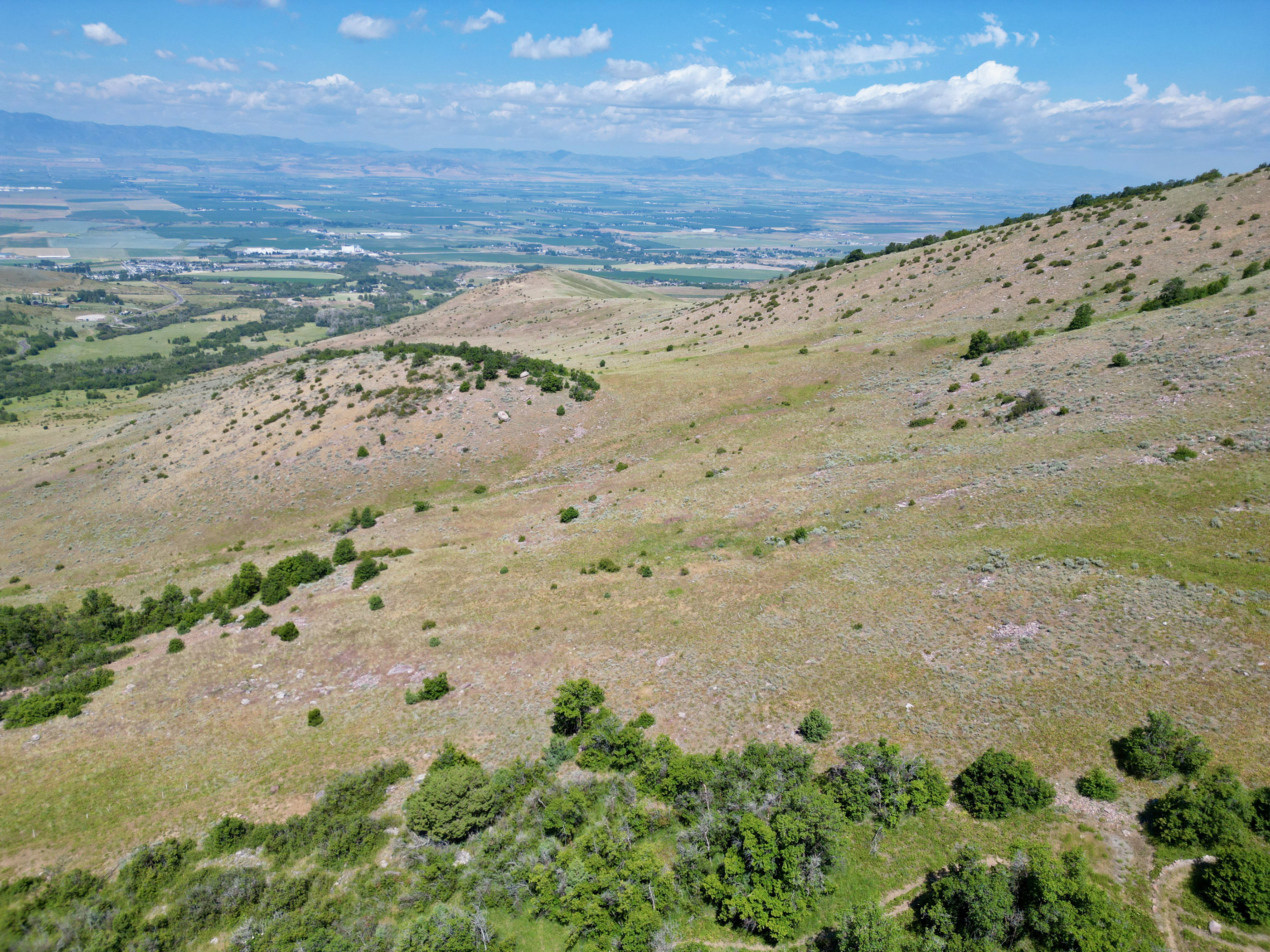 Expansive hillside parcel featuring natural vegetation and distant valley topography