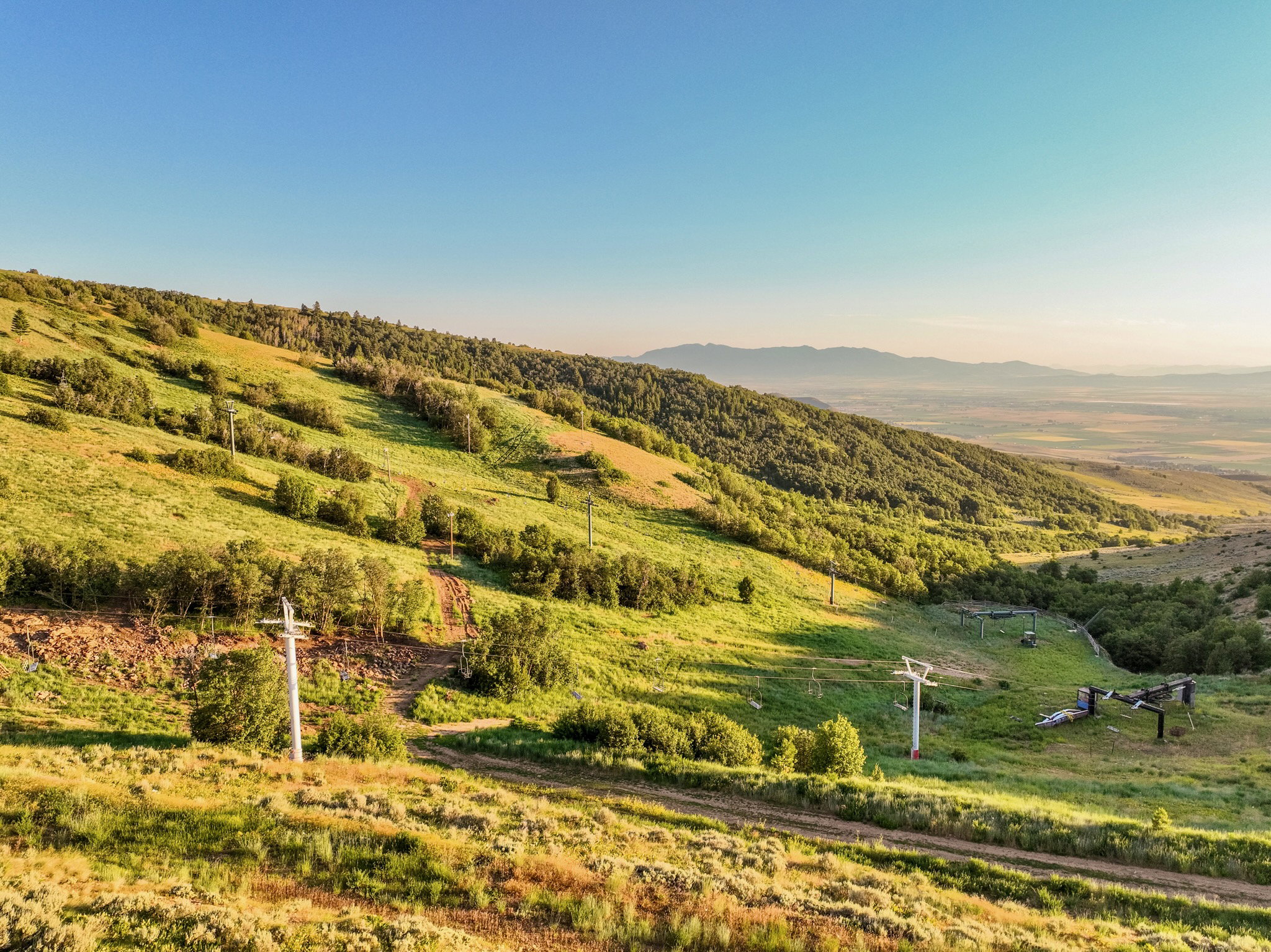 Expansive hillside terrain featuring verdant slopes, scattered mature trees, and visible ski lift infrastructure