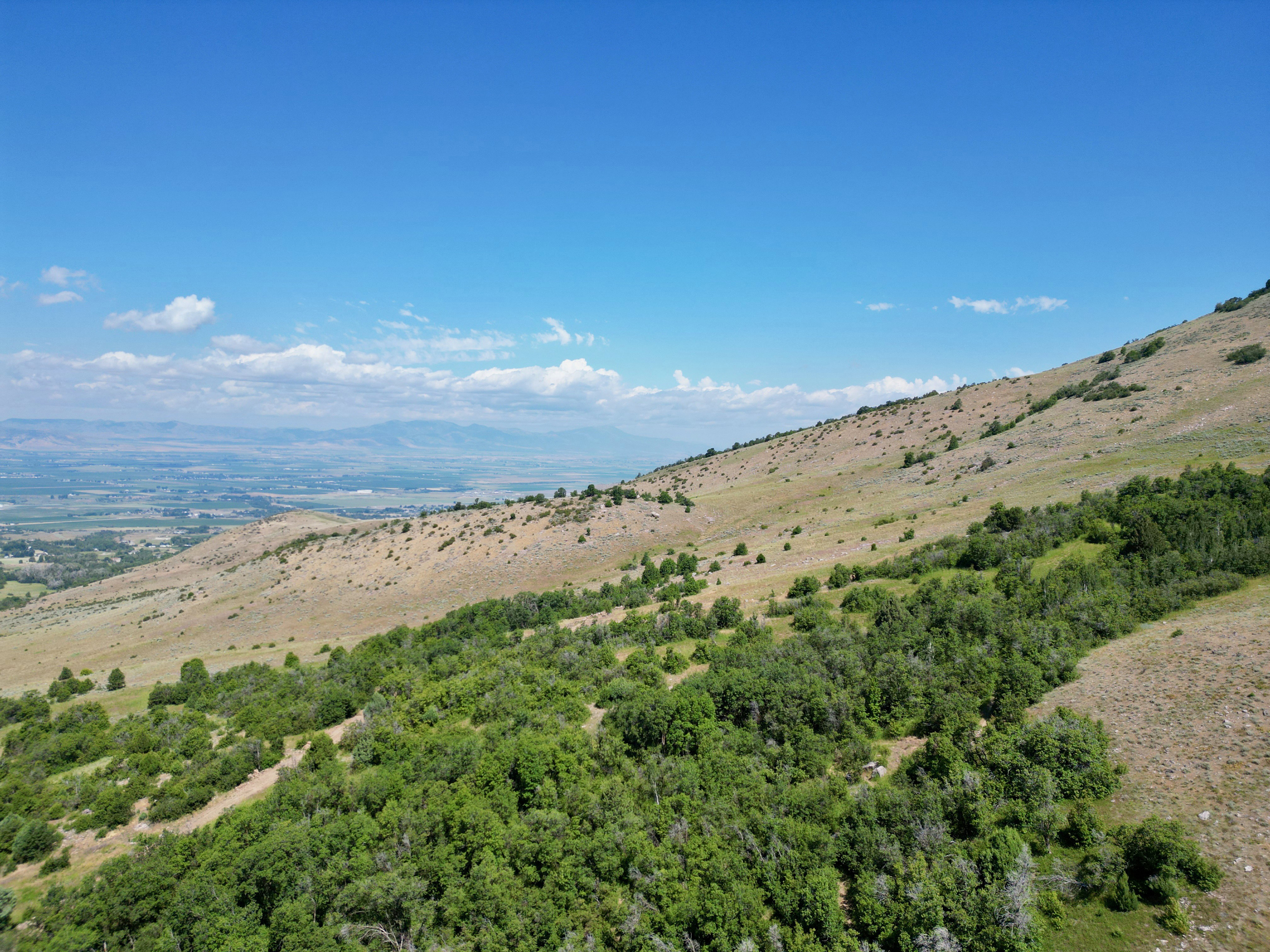 Expansive natural landscape featuring rolling hills and abundant green foliage