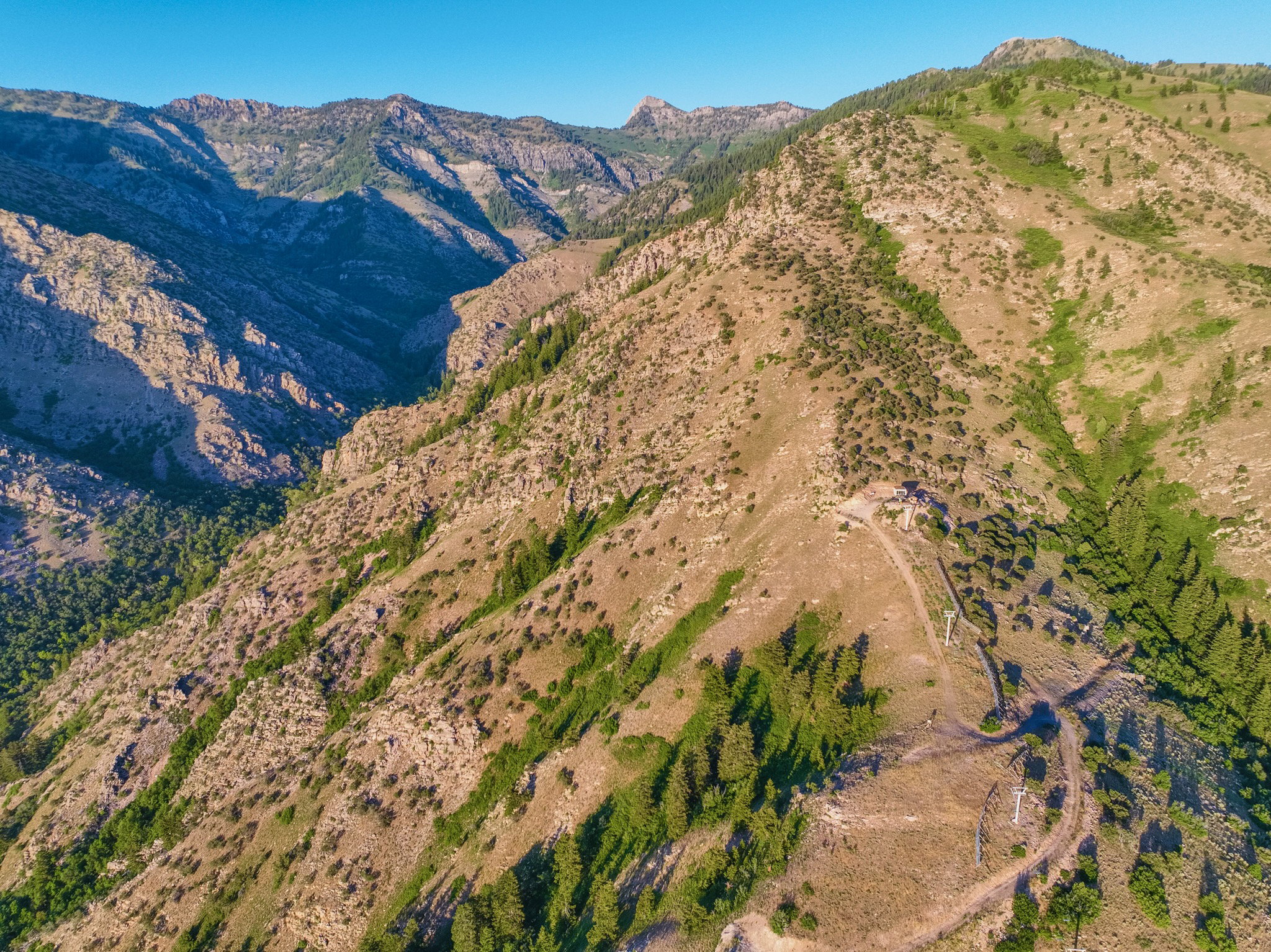 Expansive mountain landscape featuring rugged terrain, varied vegetation including evergreen trees, and a clear blue sky overhead