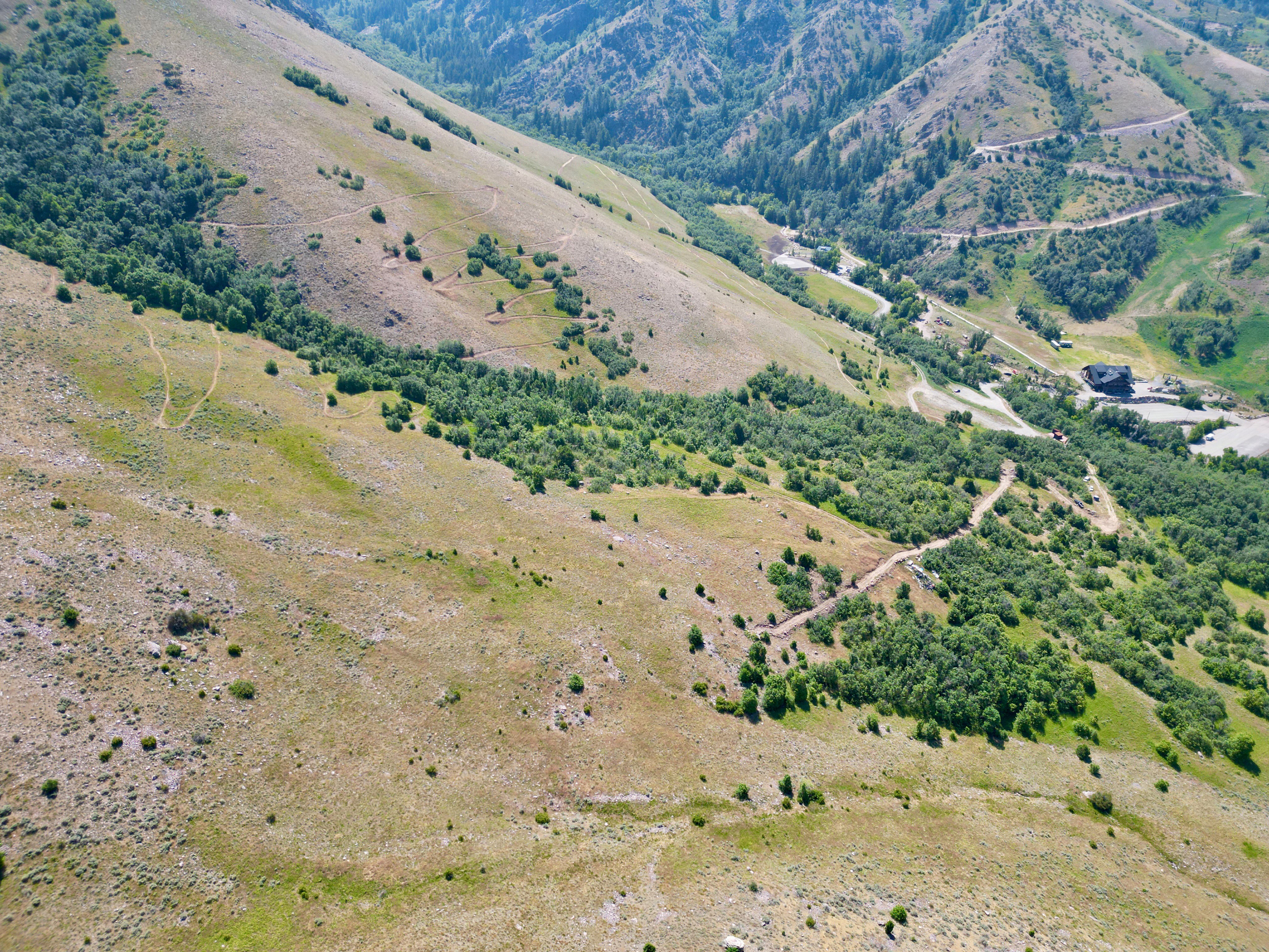 Mountainous landscape featuring expansive slopes with scattered green foliage and distant structures