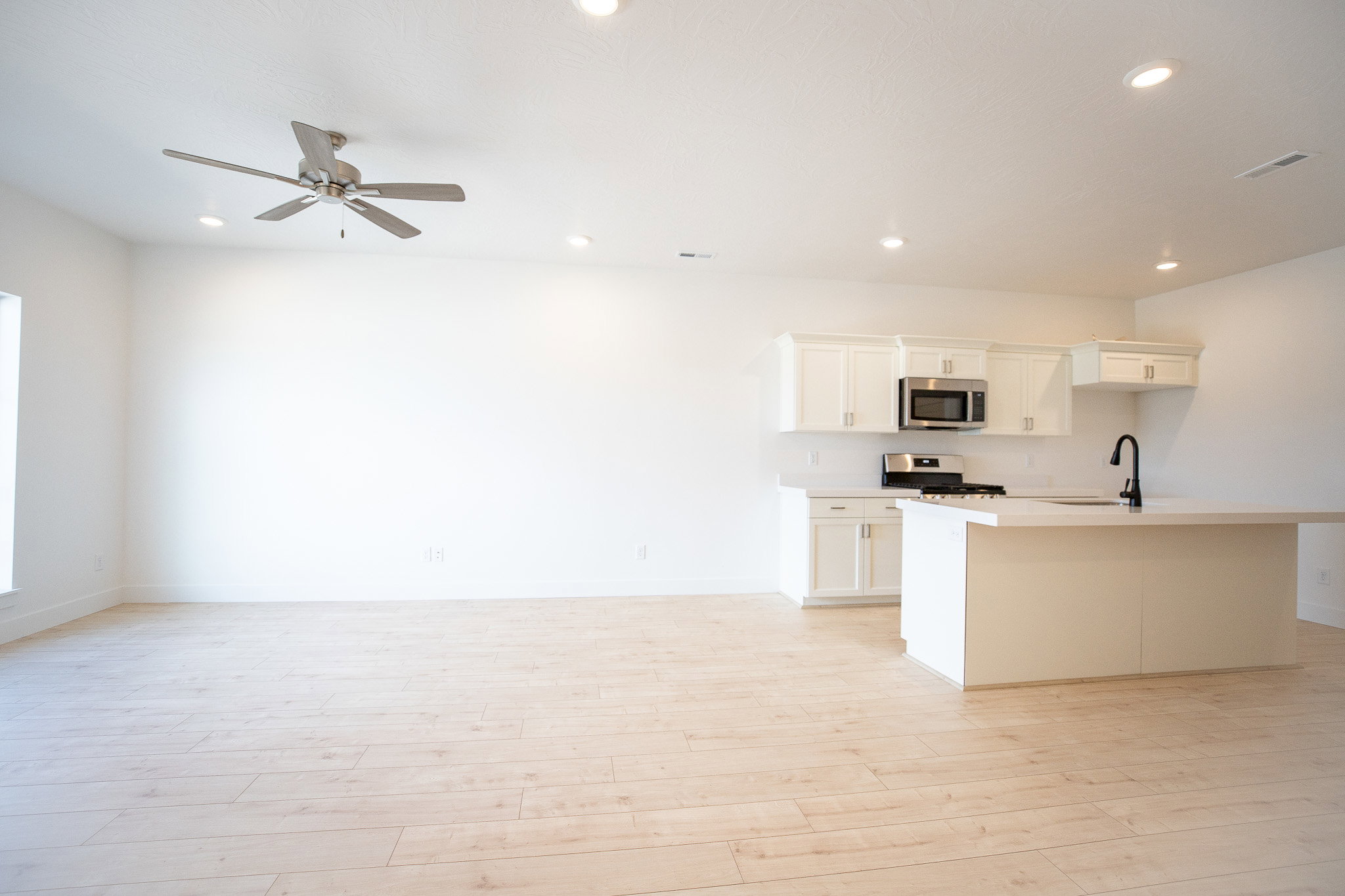 Kitchen and Living Room