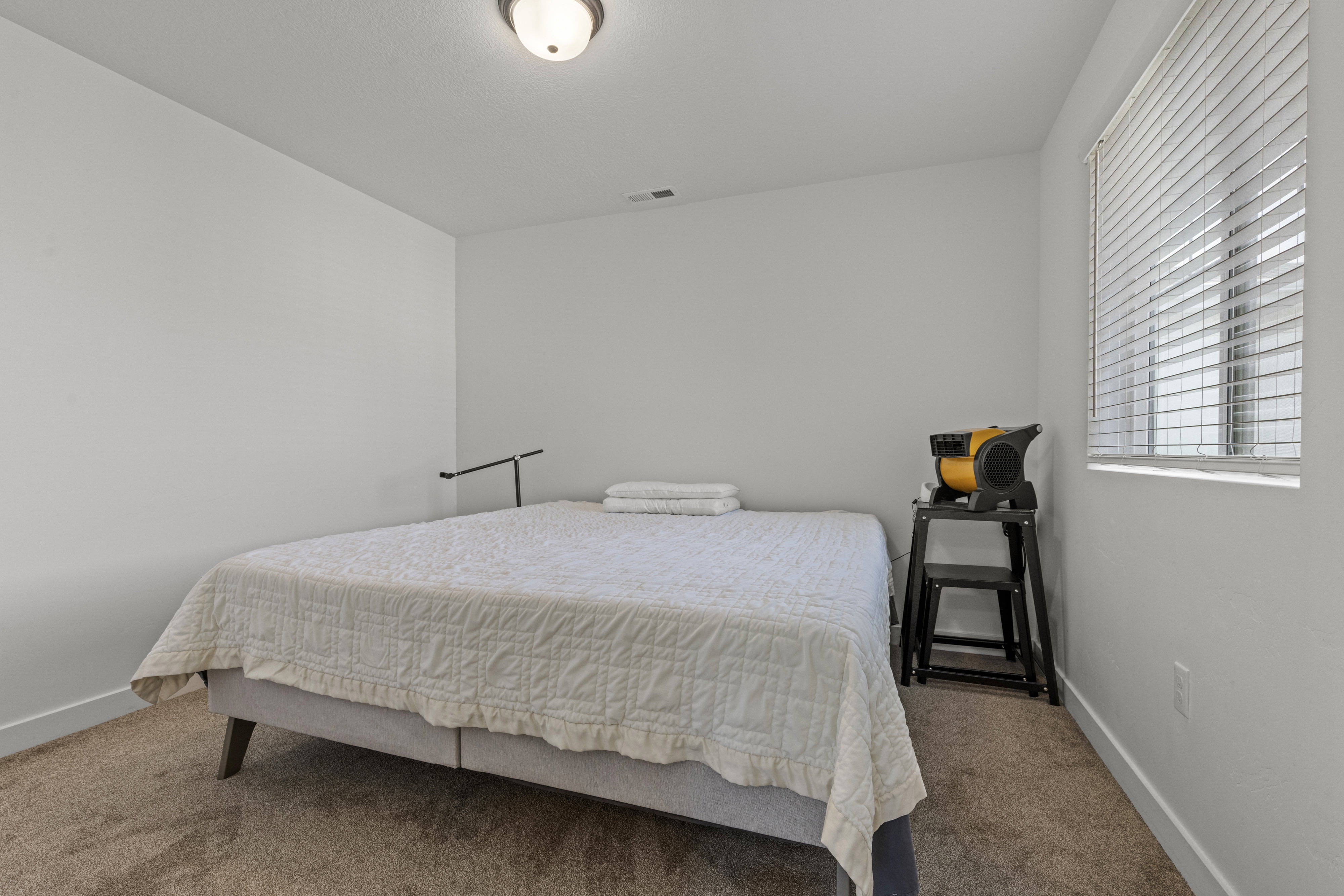 Carpeted room featuring a window with horizontal blinds, a white ceiling with a flush-mount light fixture, and white painted walls with matching baseboards