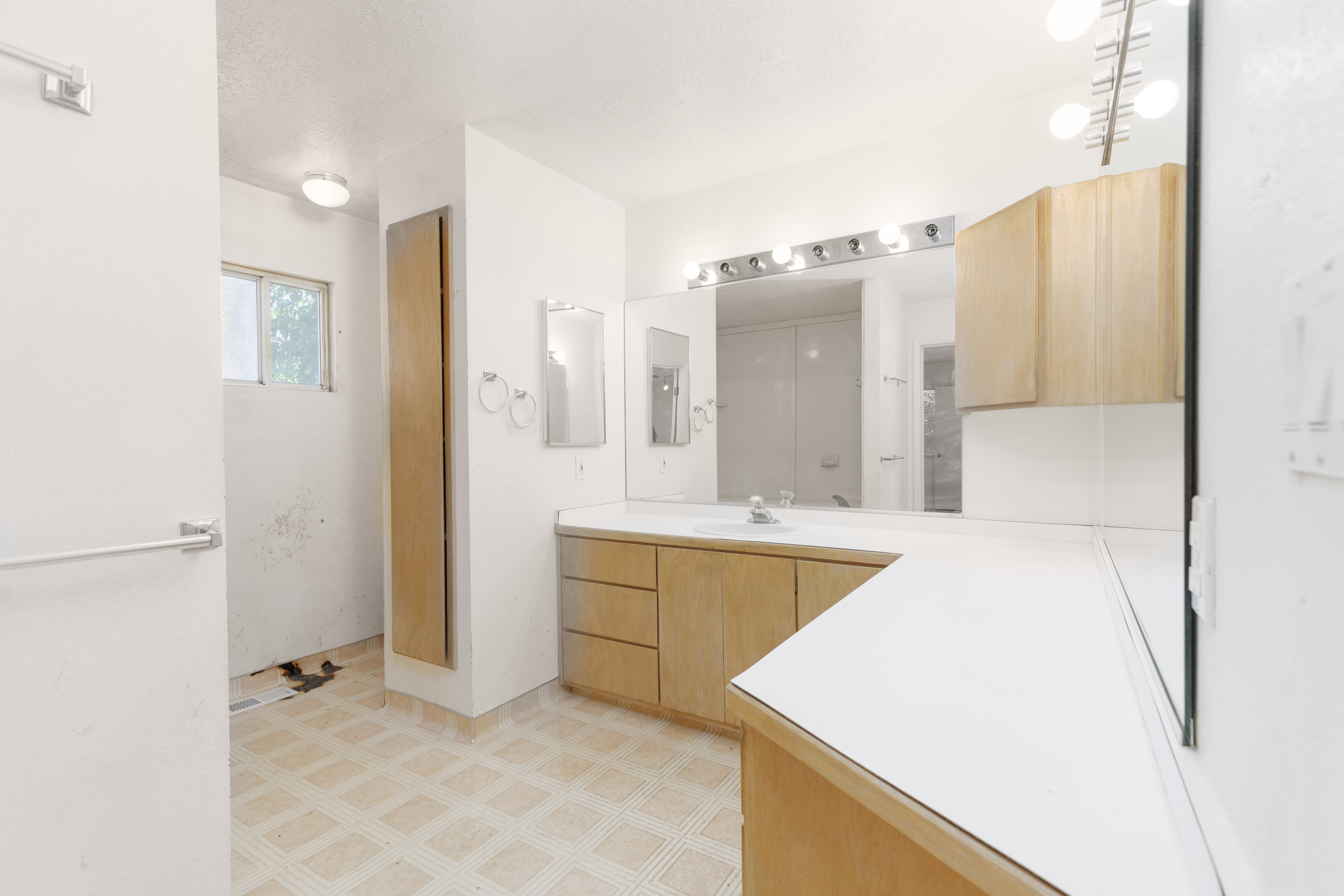 Spacious bathroom featuring an extended vanity with dual sinks, ample cabinet storage, a large wall-mounted mirror, and overhead vanity lighting