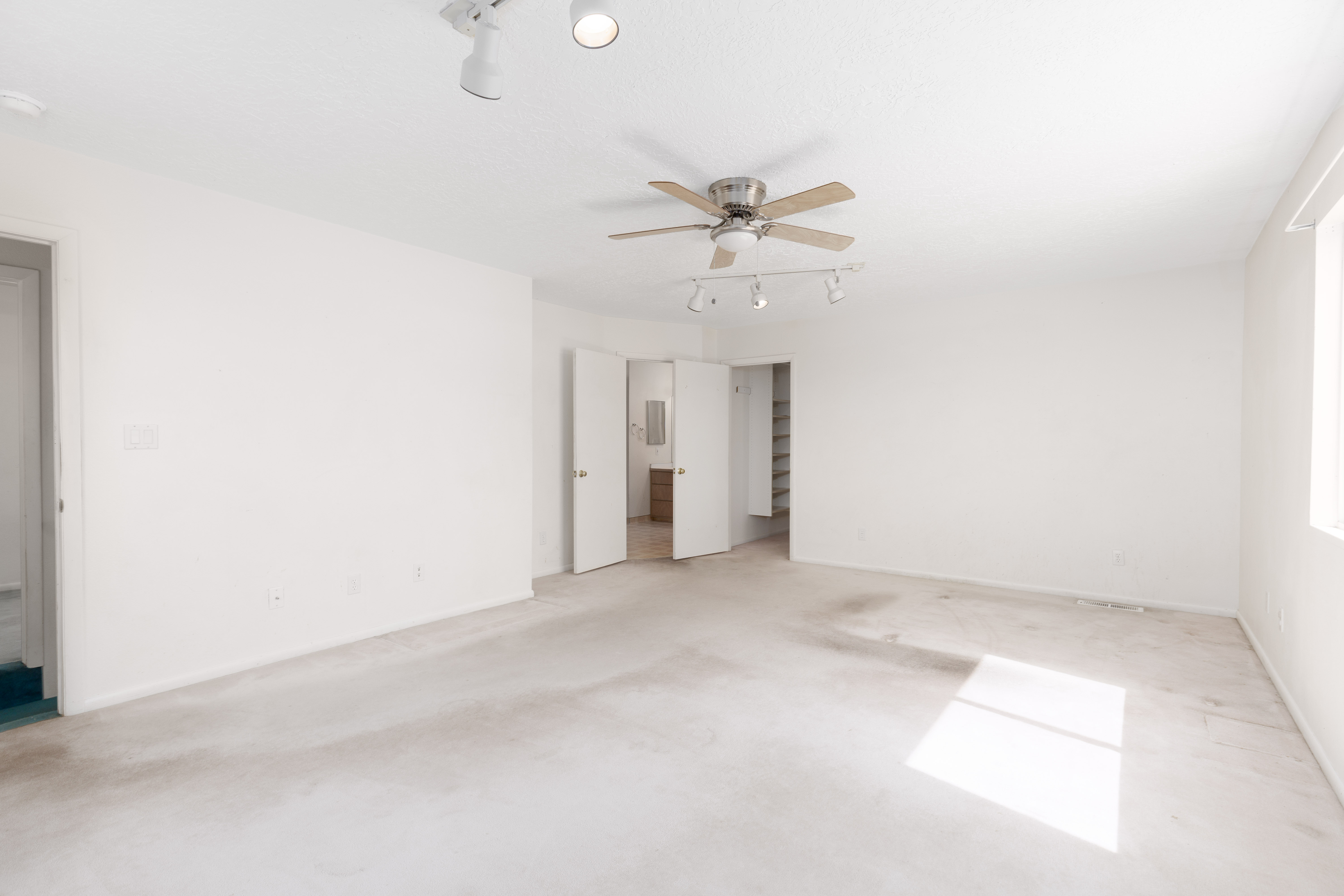 Spacious room featuring a ceiling fan, track lighting, and carpeted flooring