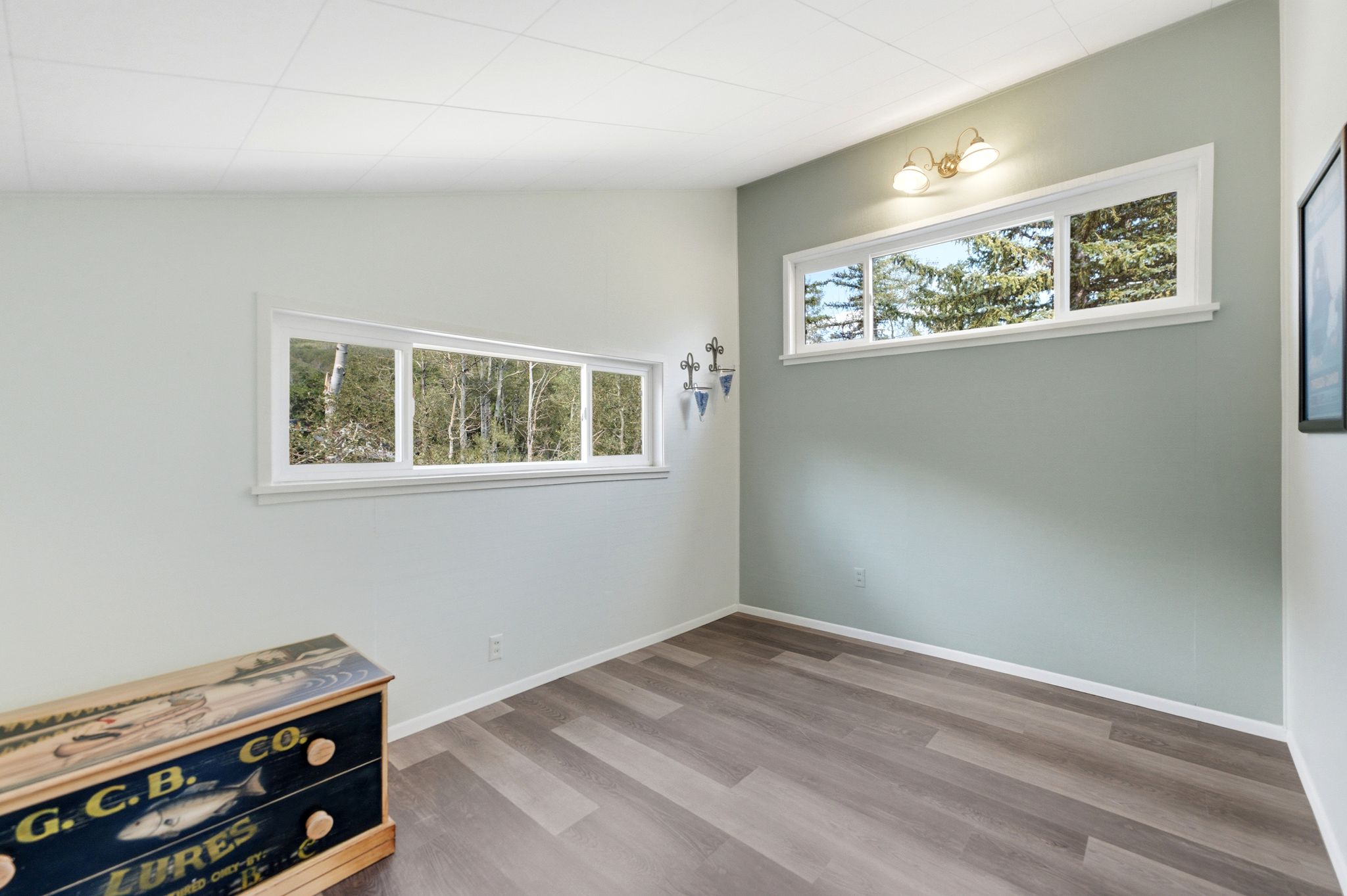 Room featuring light-toned walls, wood-finish flooring, two horizontal windows, and ceiling-mounted lighting