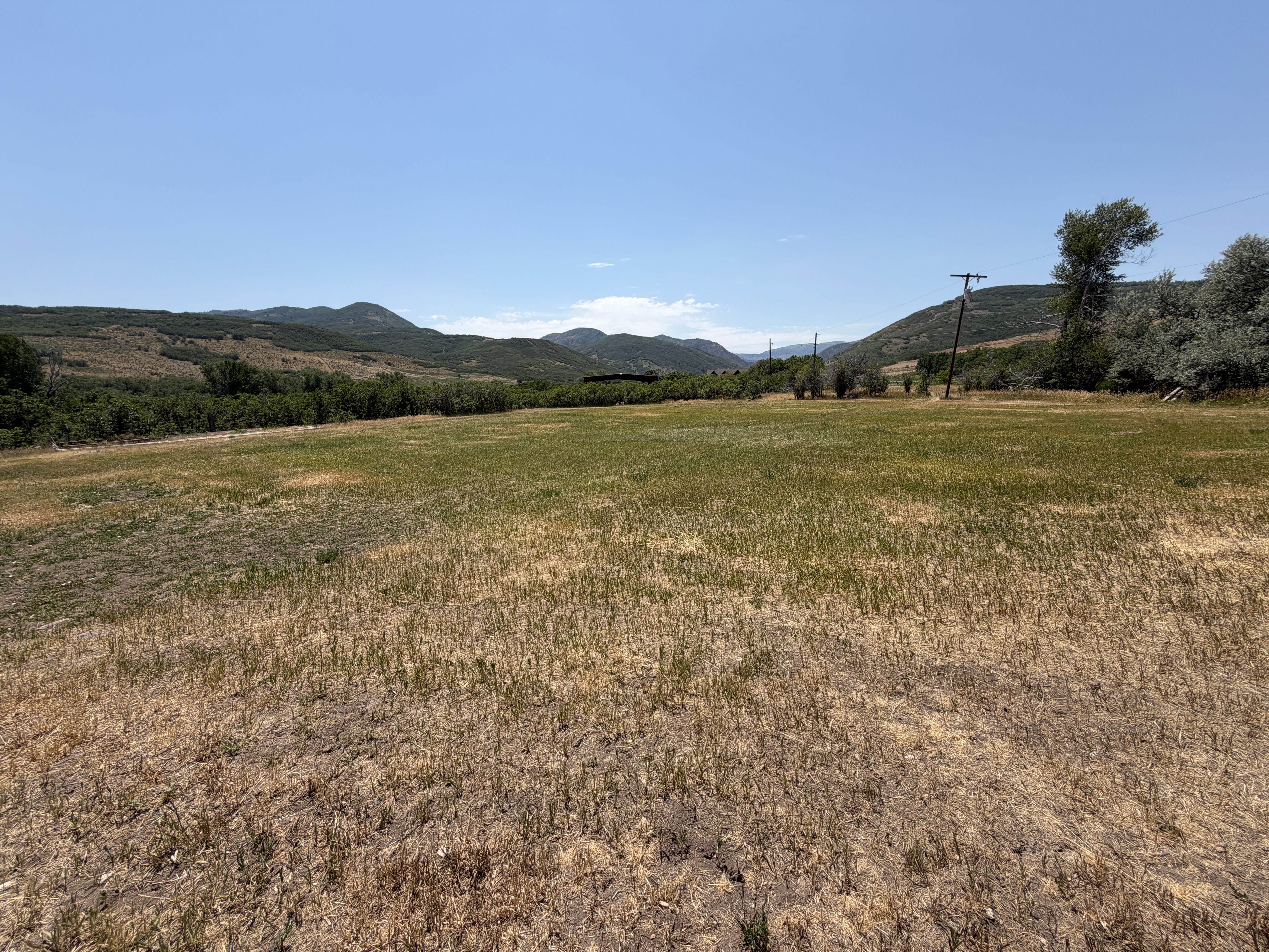 Expansive open field featuring varied natural ground cover and distant tree lines