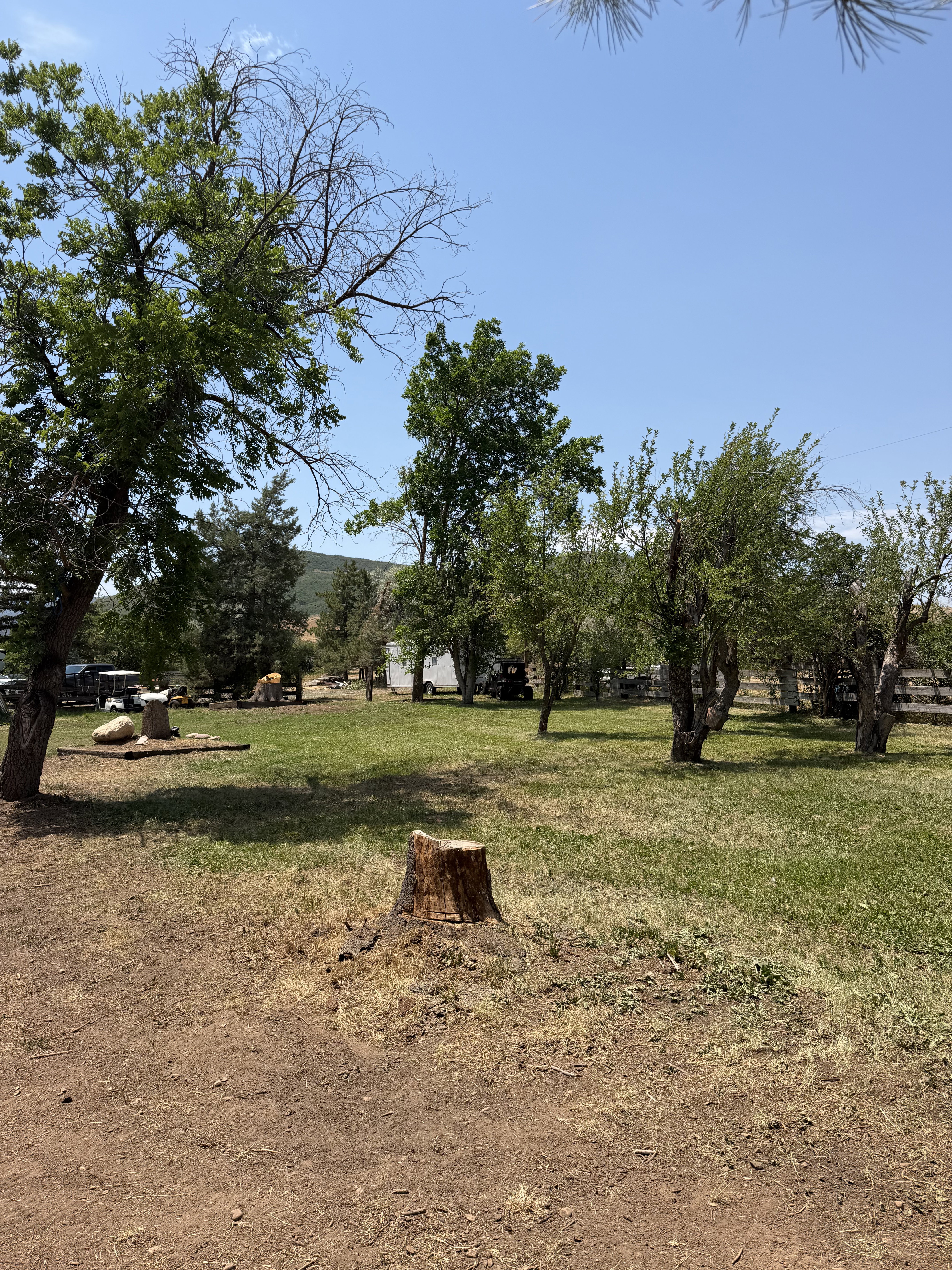 Expansive outdoor space featuring a large grassy area, mature trees, and visible open land