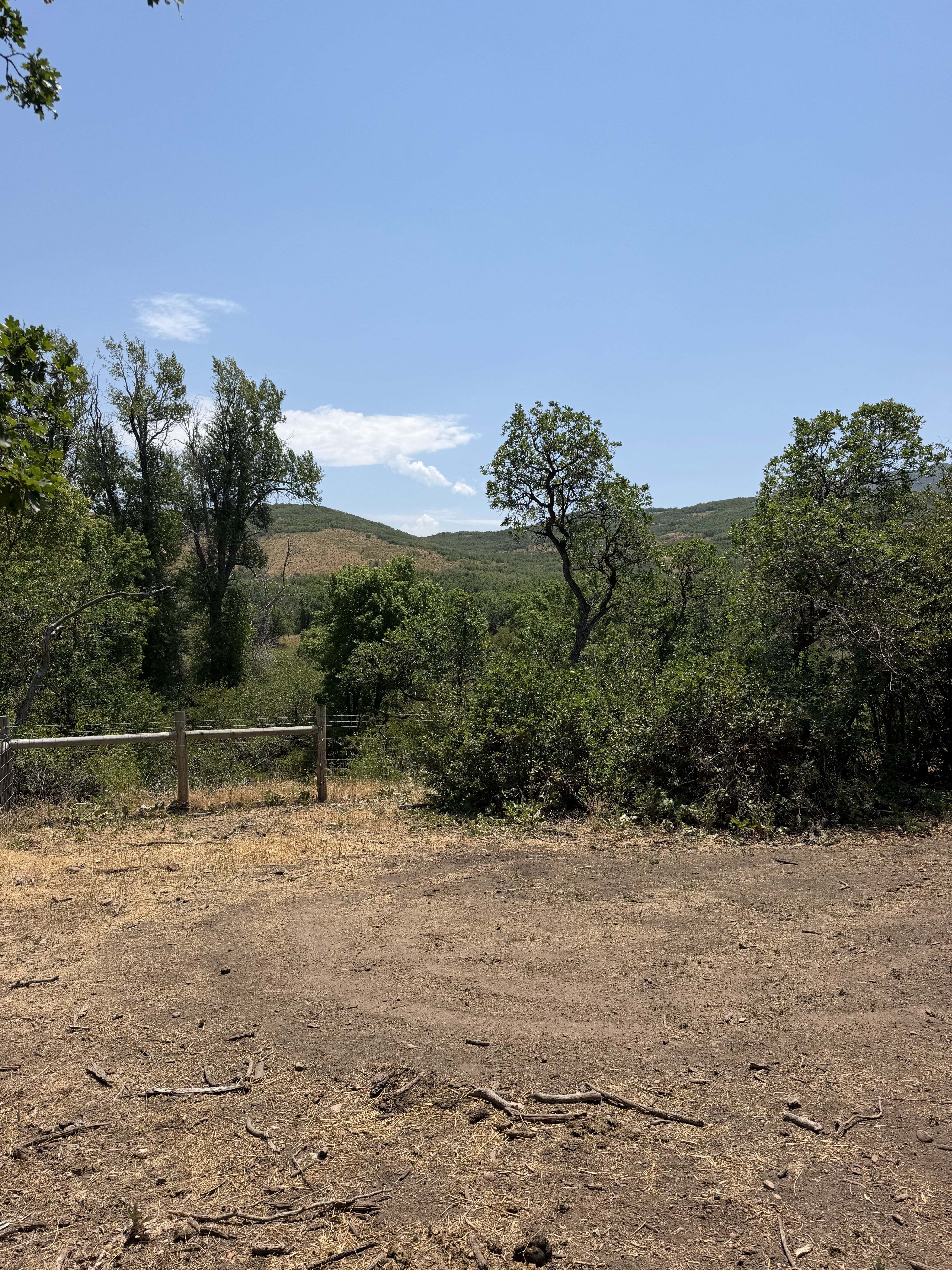 Expansive natural terrain featuring a rustic wooden fence and mature trees