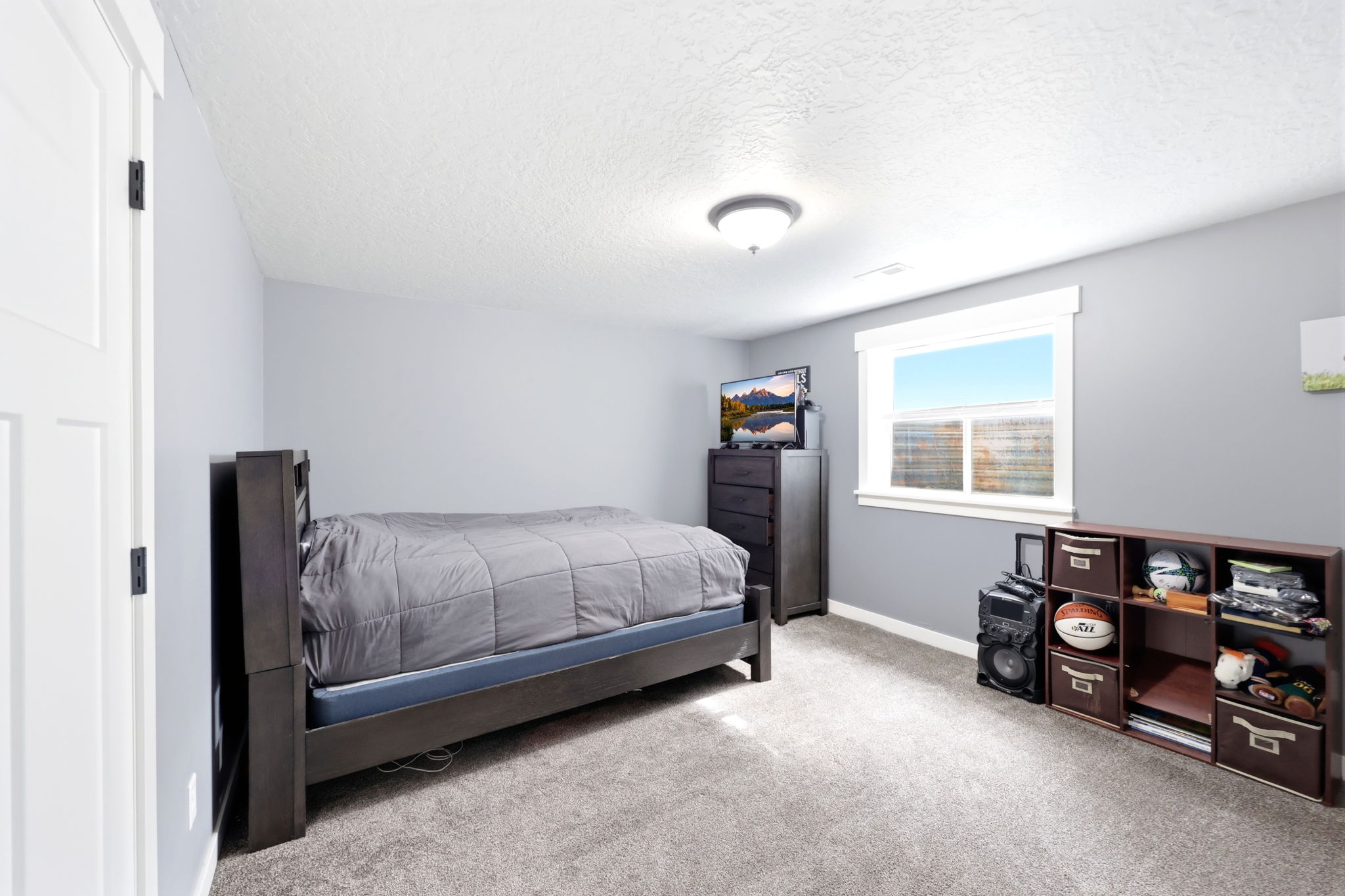 Carpeted room featuring light gray walls, a white trim window, and a ceiling-mounted light fixture