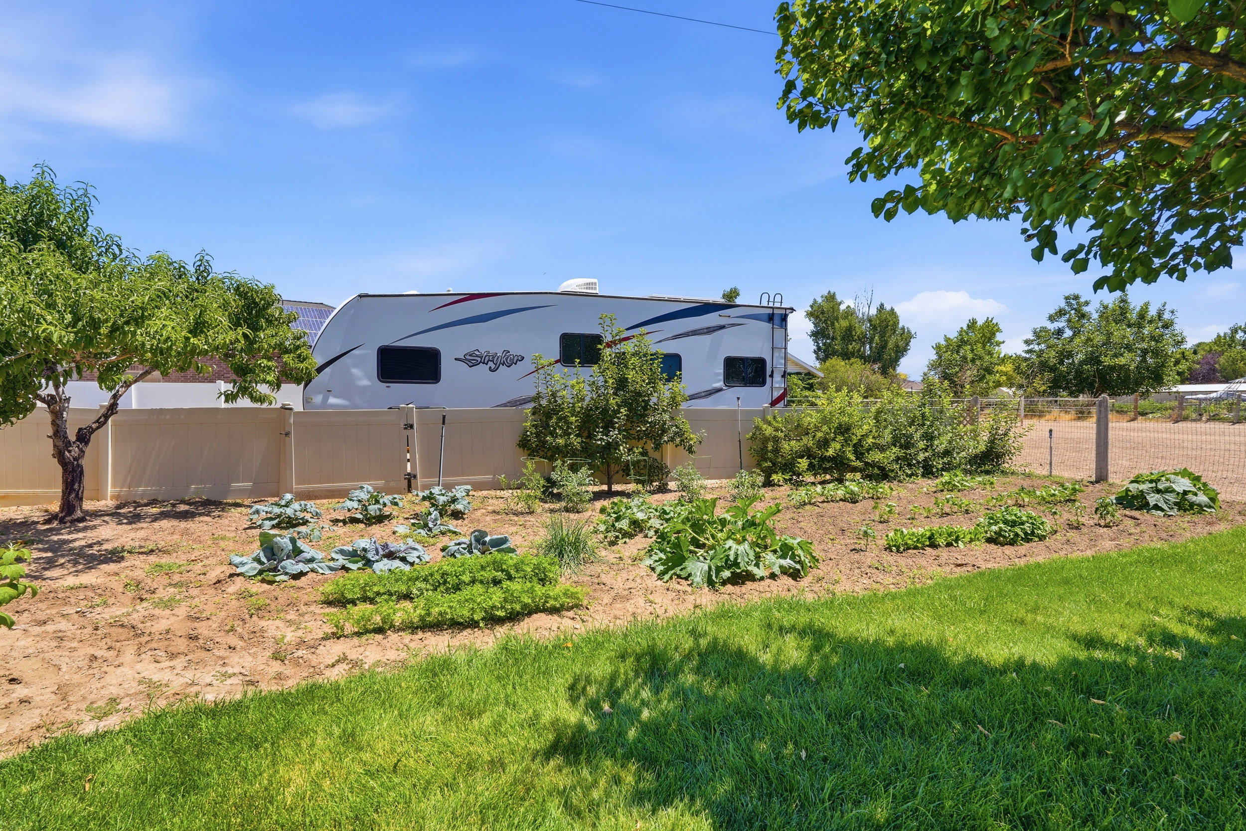 Established garden beds with a variety of plantings, featuring a partial privacy fence and mature trees