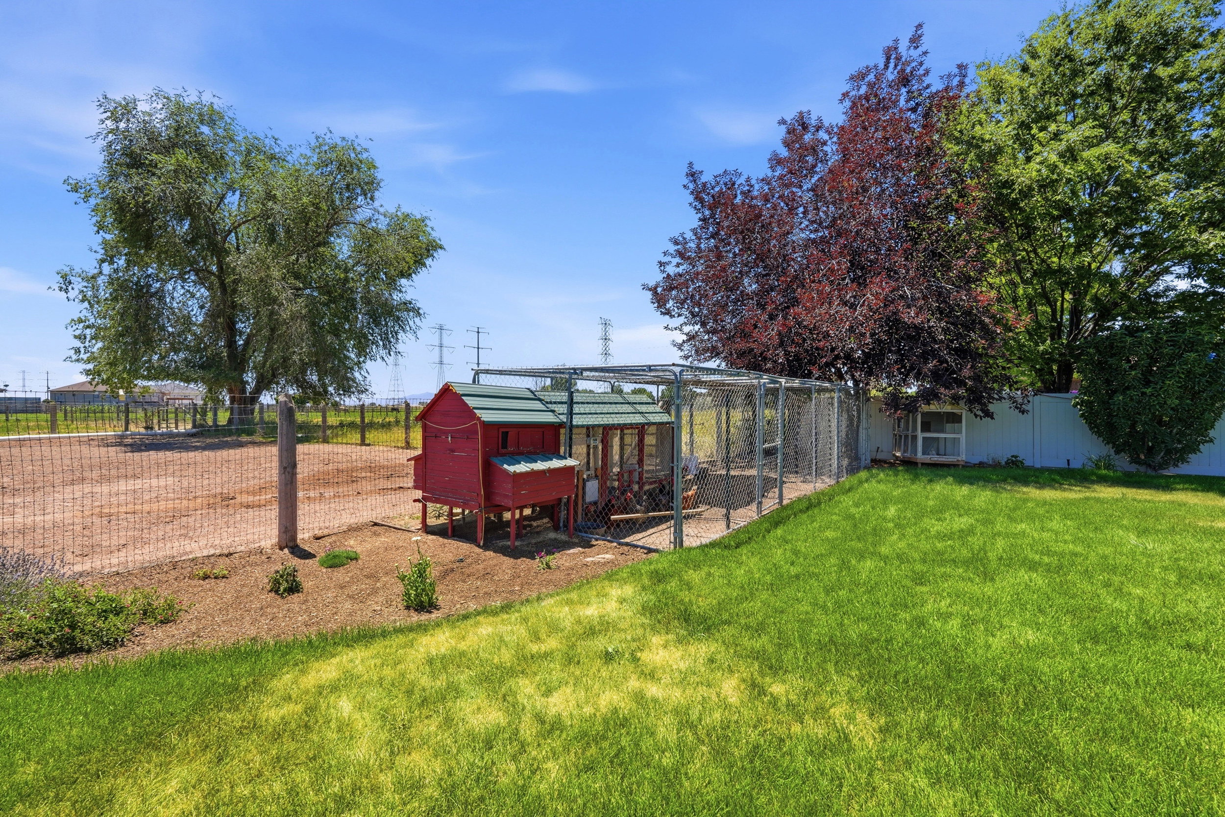 Expansive backyard featuring a large grassy area, a red chicken coop, and a spacious chain-link enclosure