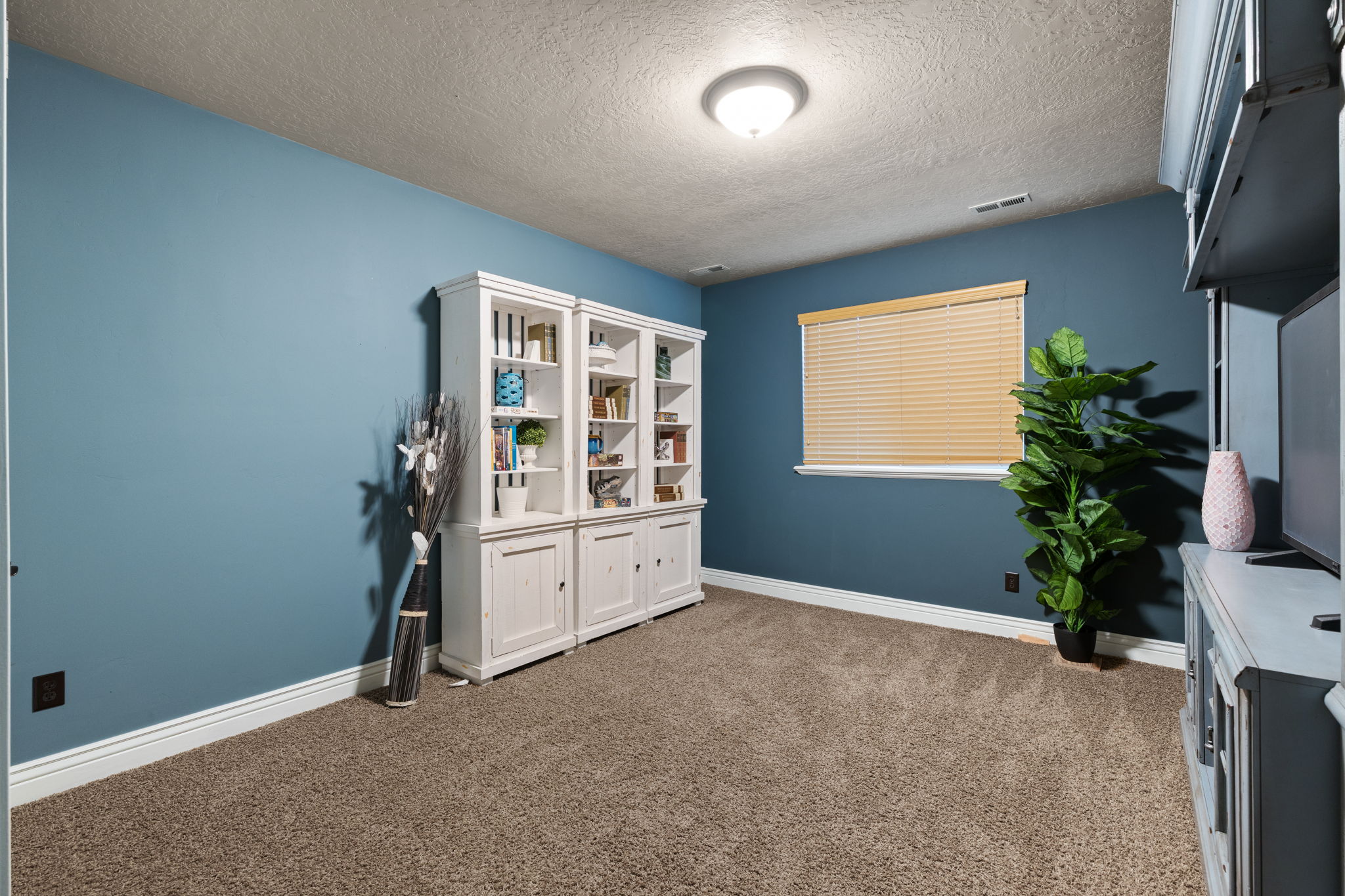 Carpeted room featuring blue walls with white trim, built-in shelving units, a window with blinds, and a ceiling-mounted light fixture