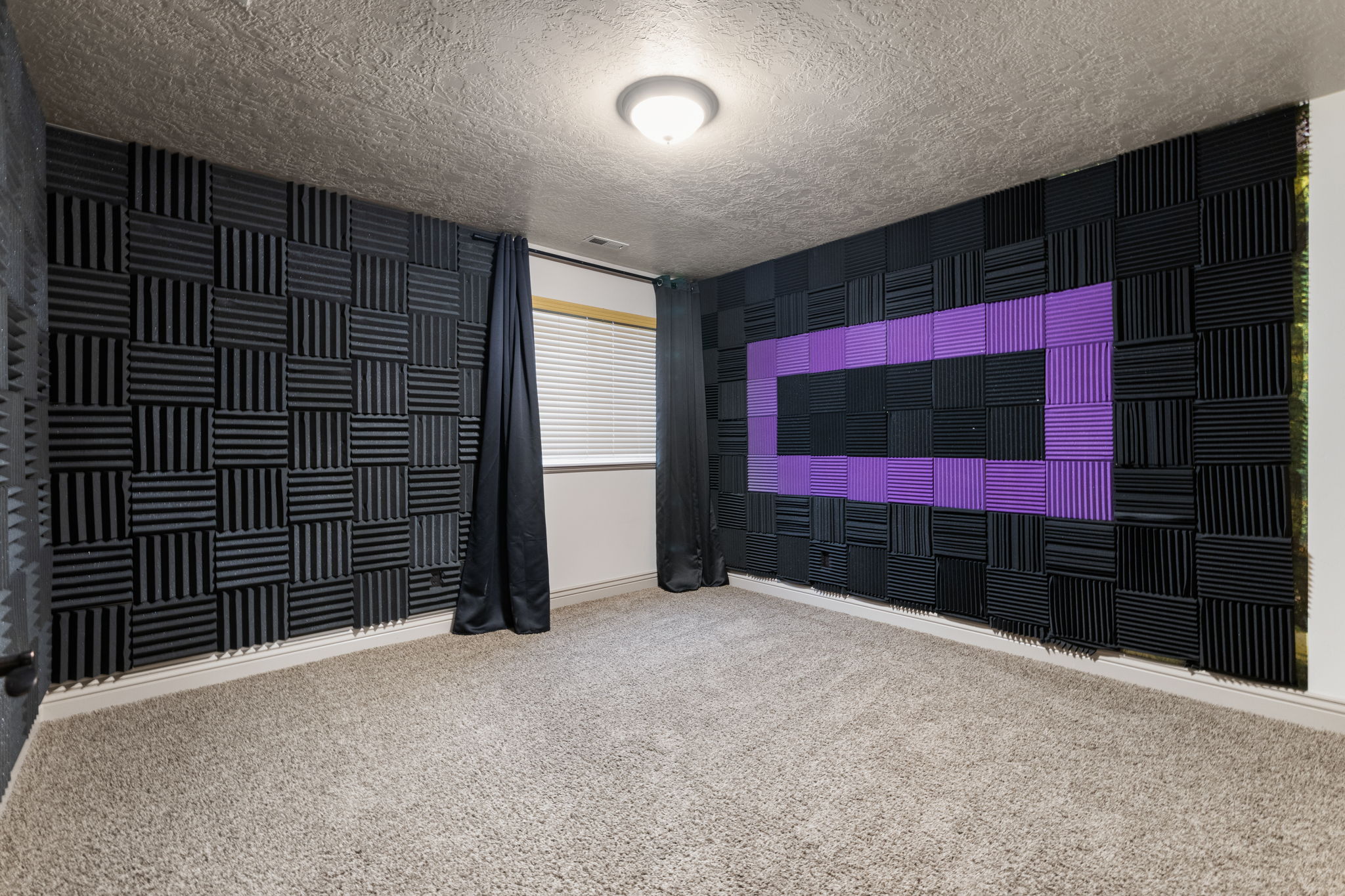 Room featuring carpet flooring and acoustic paneling on walls
