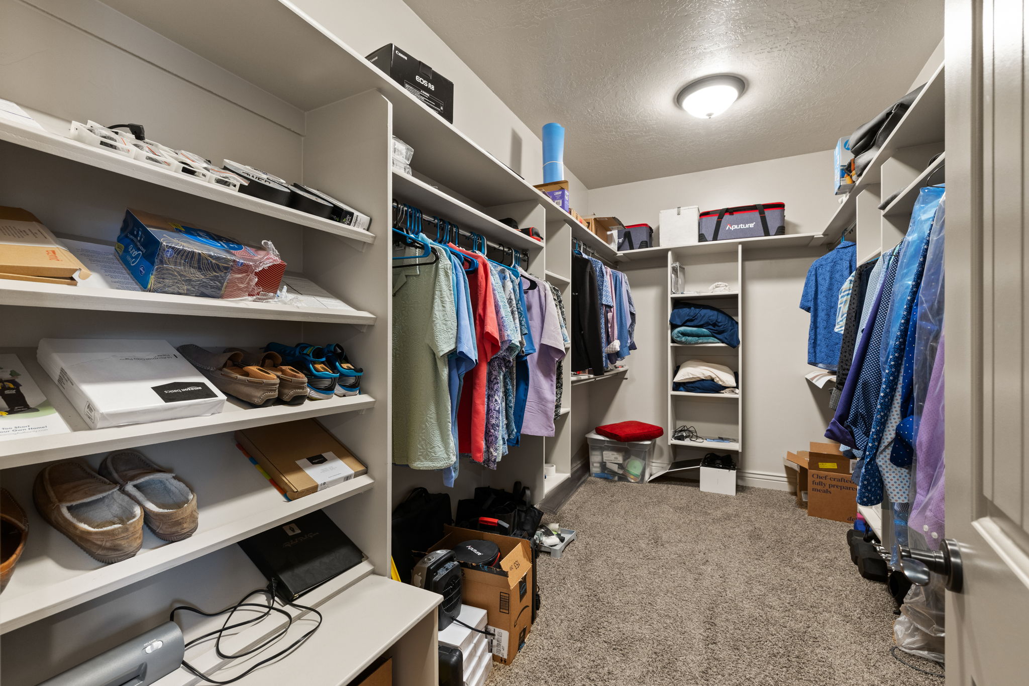 Spacious walk-in closet featuring extensive built-in shelving, multiple hanging rods, and neutral-toned carpet flooring